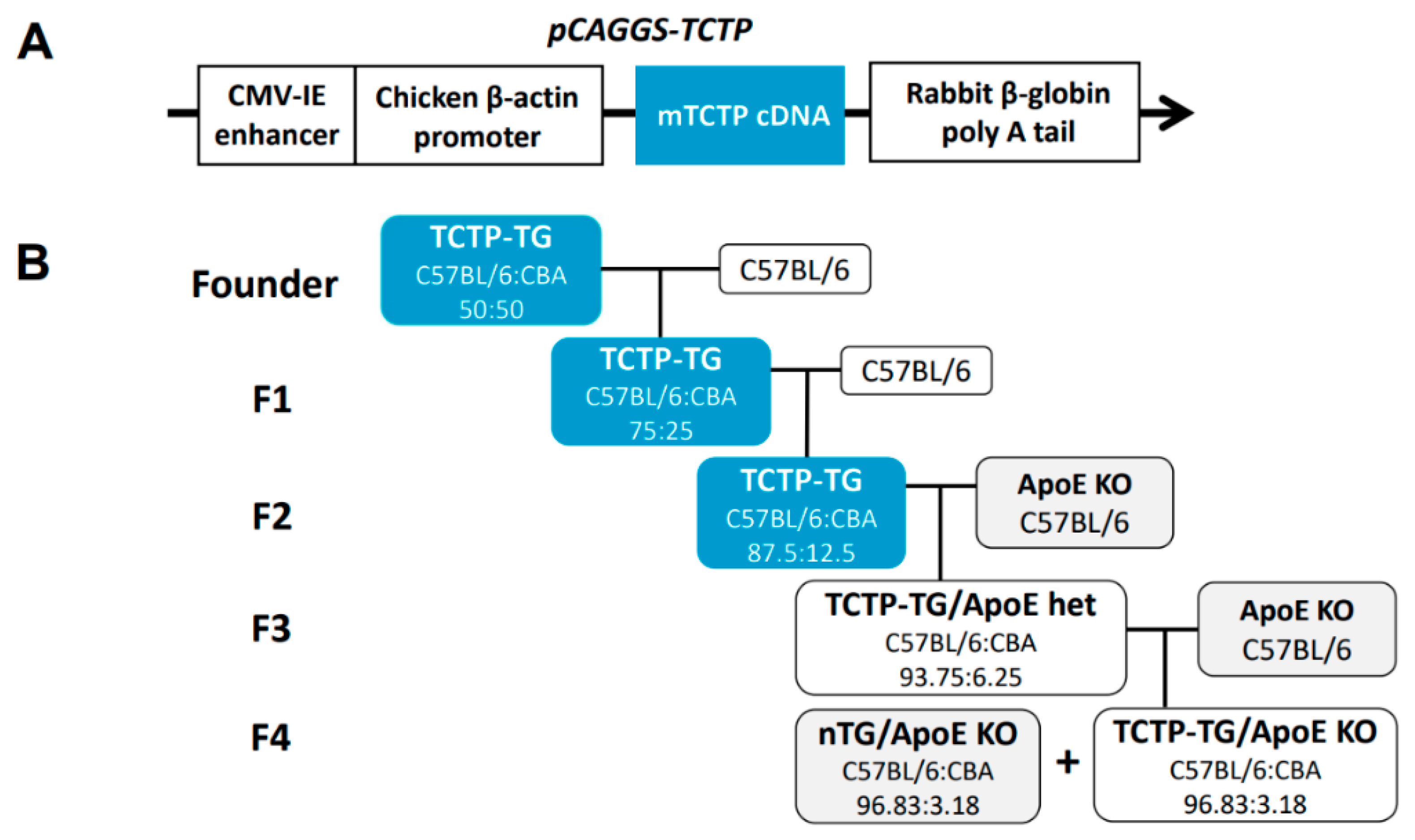 Biomedicines 10 02722 g001