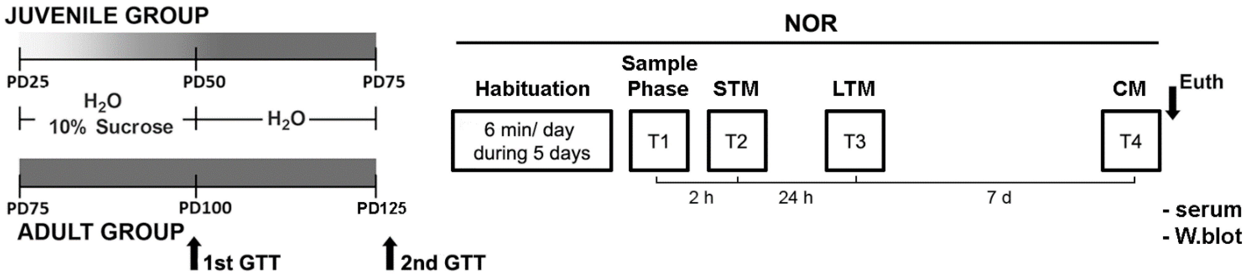 Biomedicines 10 02723 g001 Biomedicines 10 02723 g001