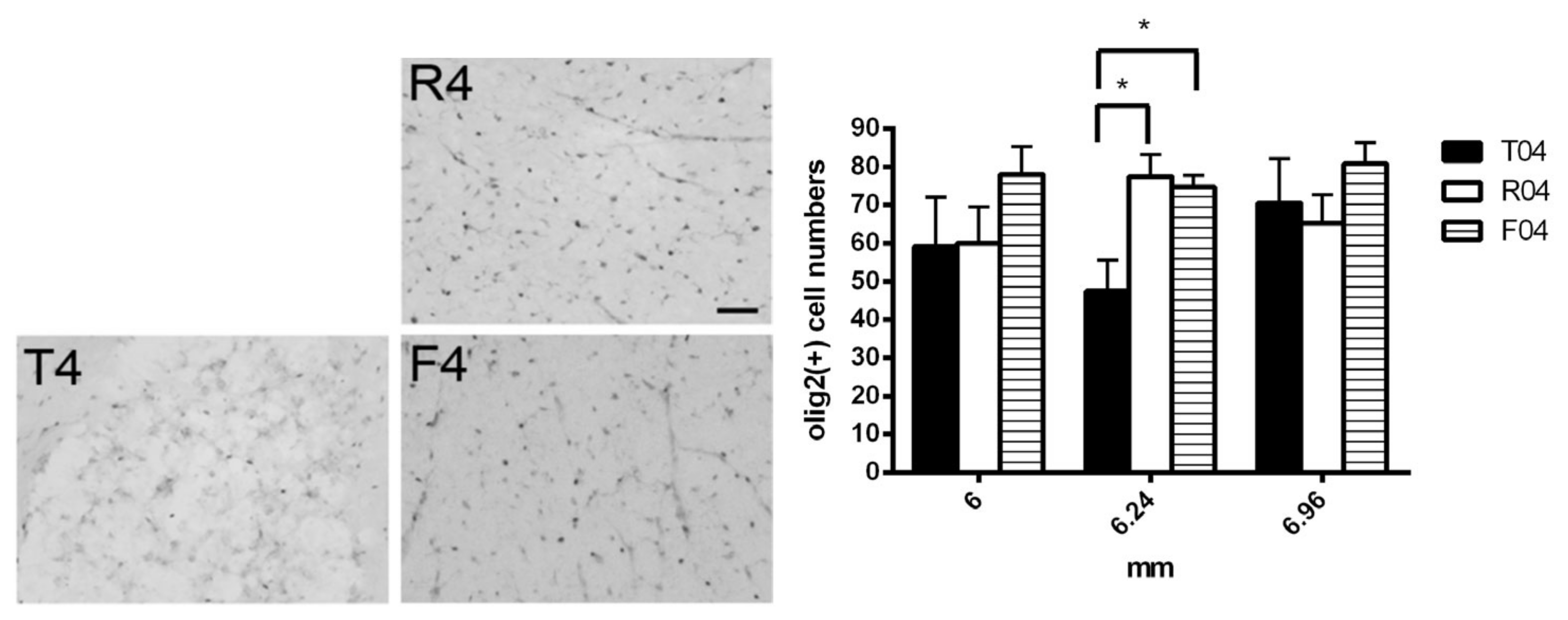 Biomedicines 10 02724 g003 Biomedicines 10 02724 g003