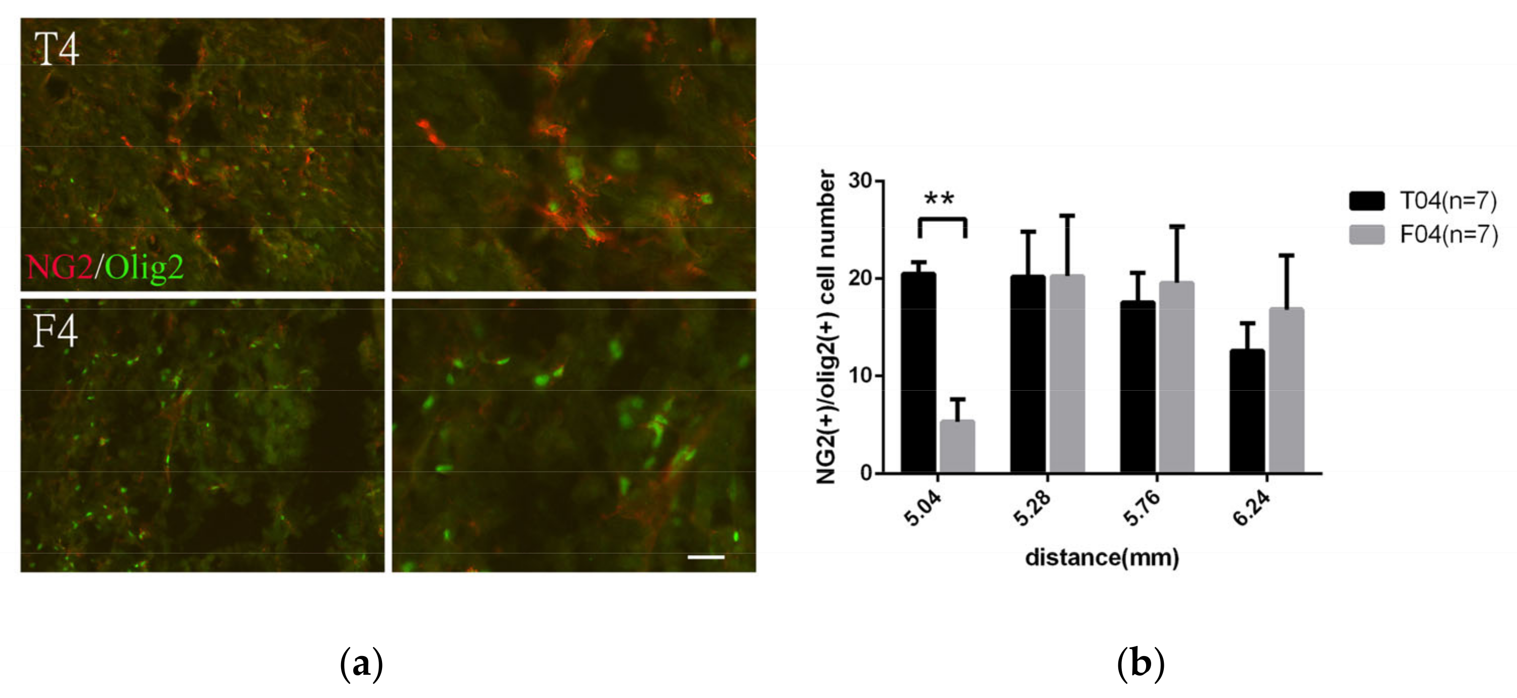 Biomedicines 10 02724 g005 Biomedicines 10 02724 g005
