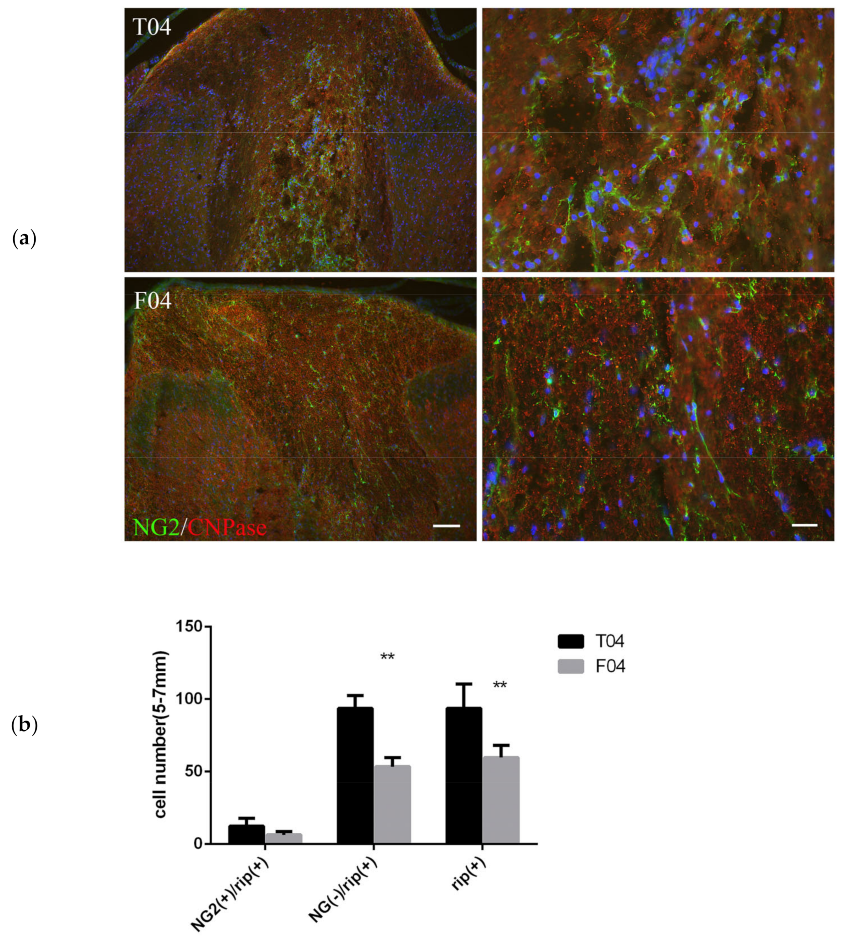 Biomedicines 10 02724 g006 Biomedicines 10 02724 g006