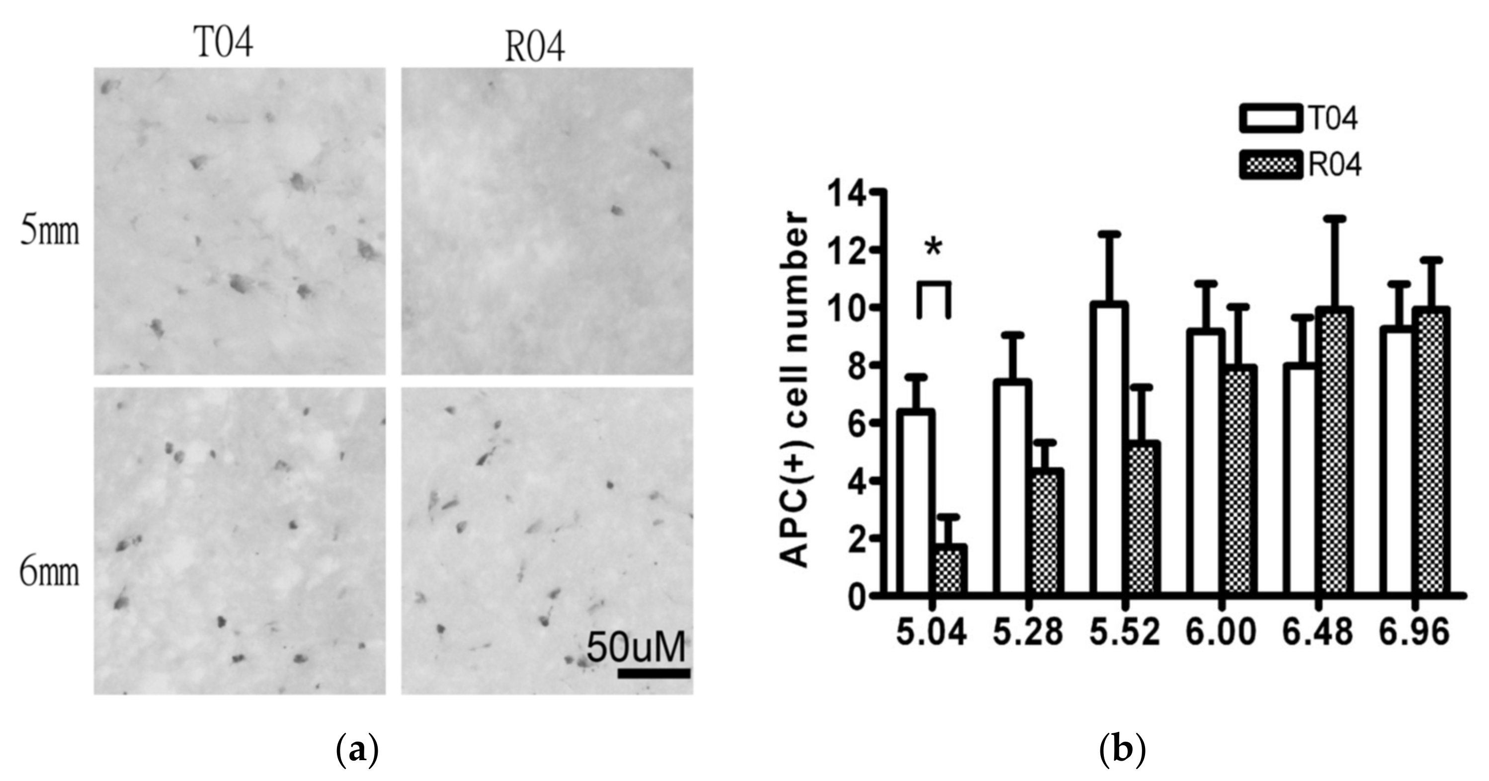 Biomedicines 10 02724 g008 Biomedicines 10 02724 g008