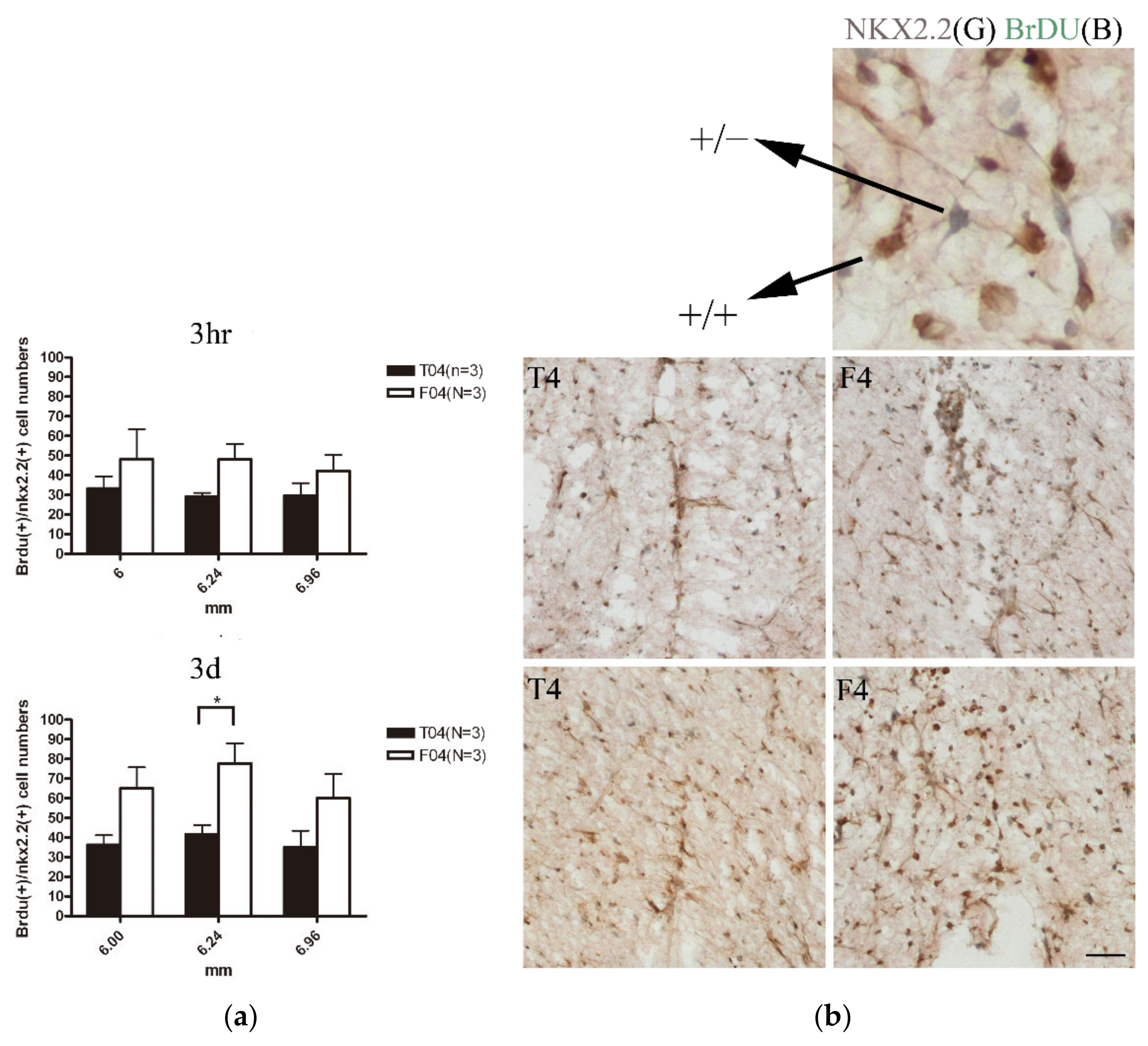 Biomedicines 10 02724 g009 Biomedicines 10 02724 g009
