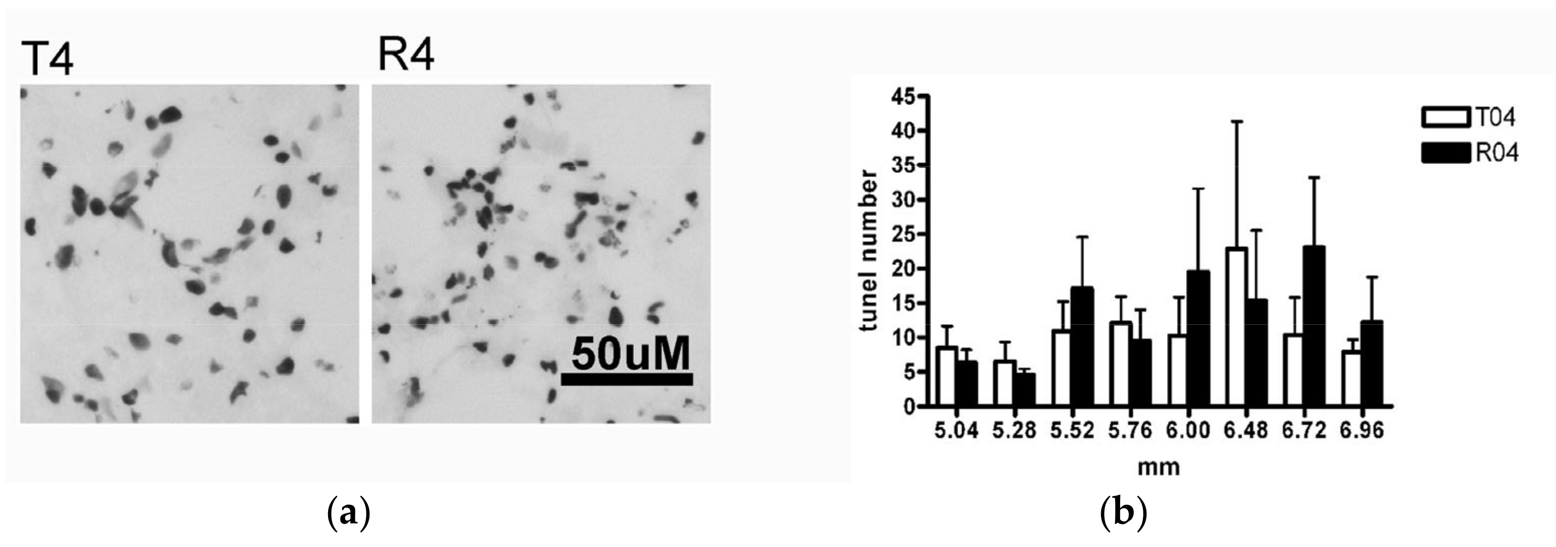 Biomedicines 10 02724 g010 Biomedicines 10 02724 g010
