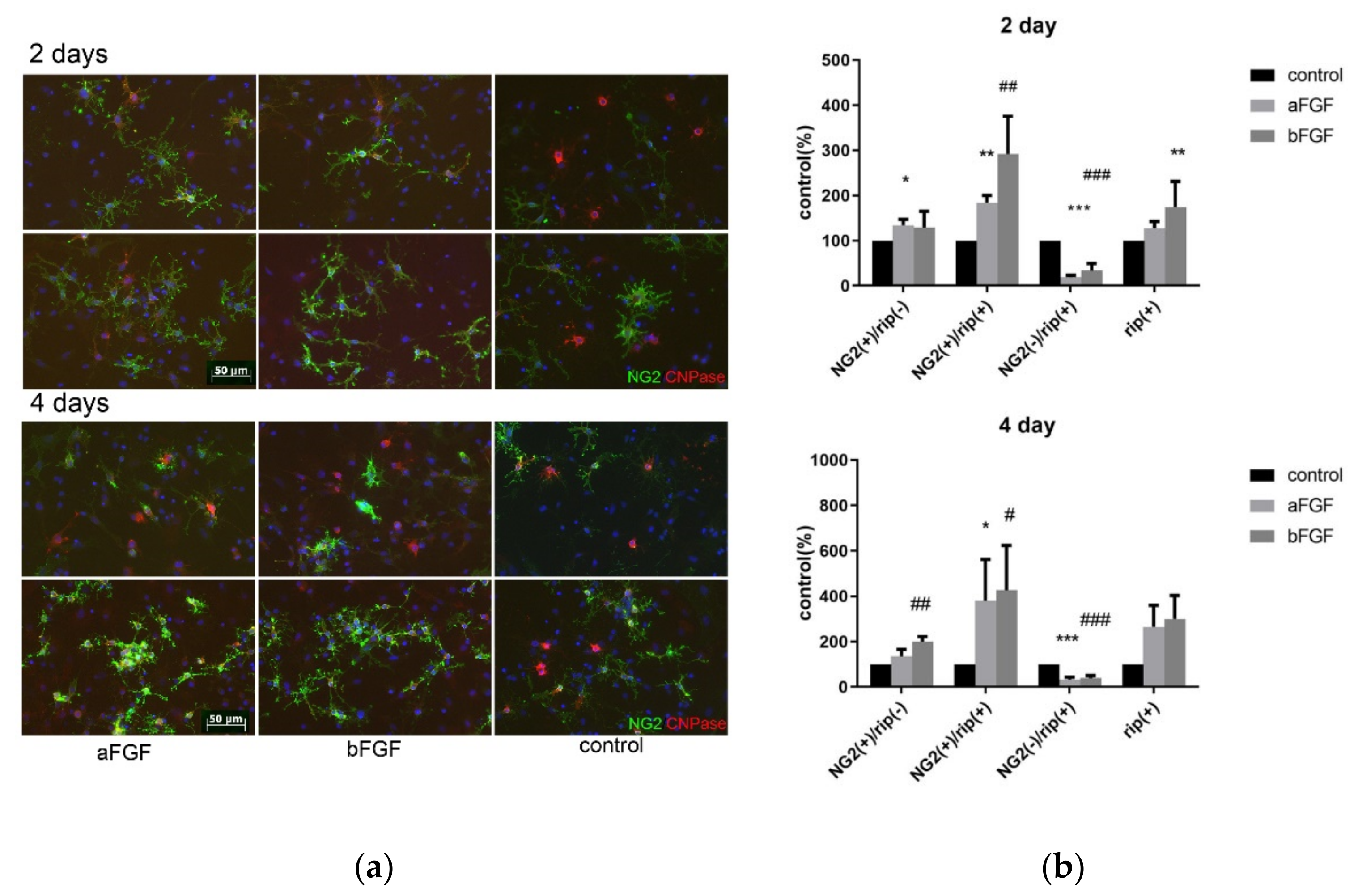 Biomedicines 10 02724 g013 Biomedicines 10 02724 g013