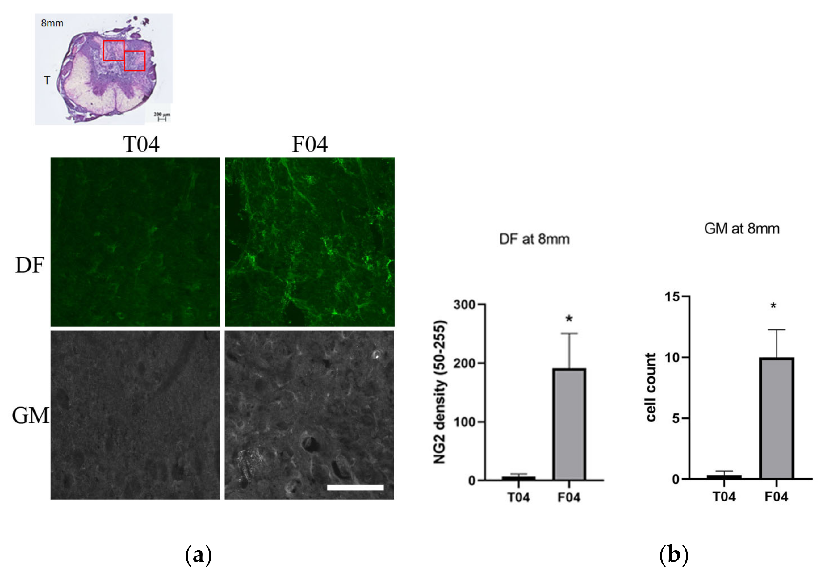 Biomedicines 10 02724 g016 Biomedicines 10 02724 g016