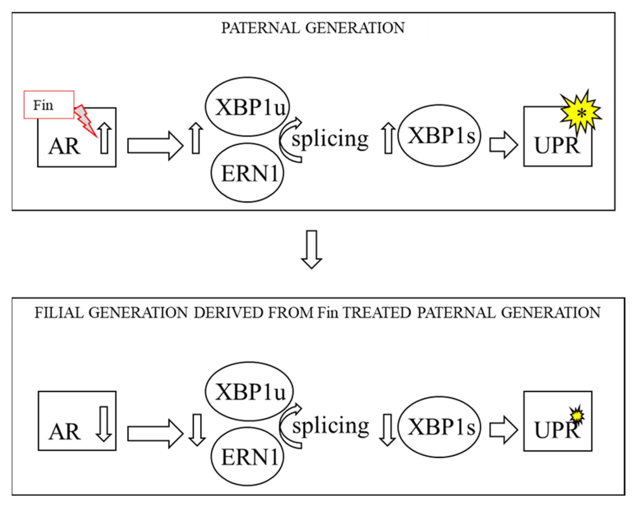 Biomedicines 10 02725 g001