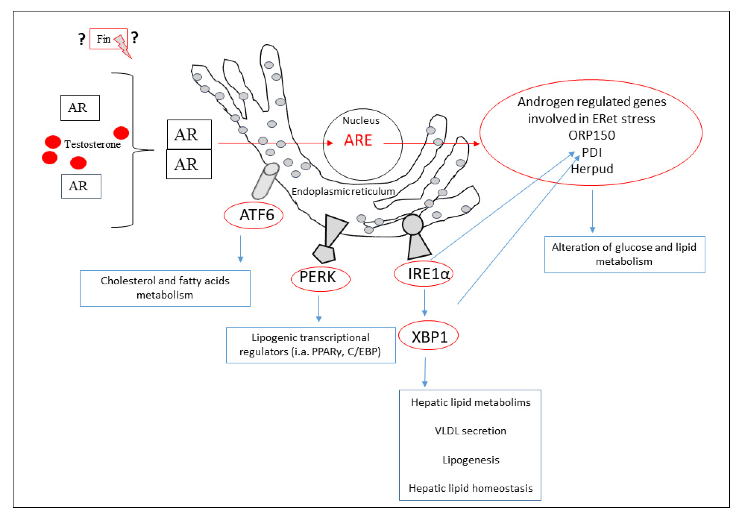 Biomedicines 10 02725 g002