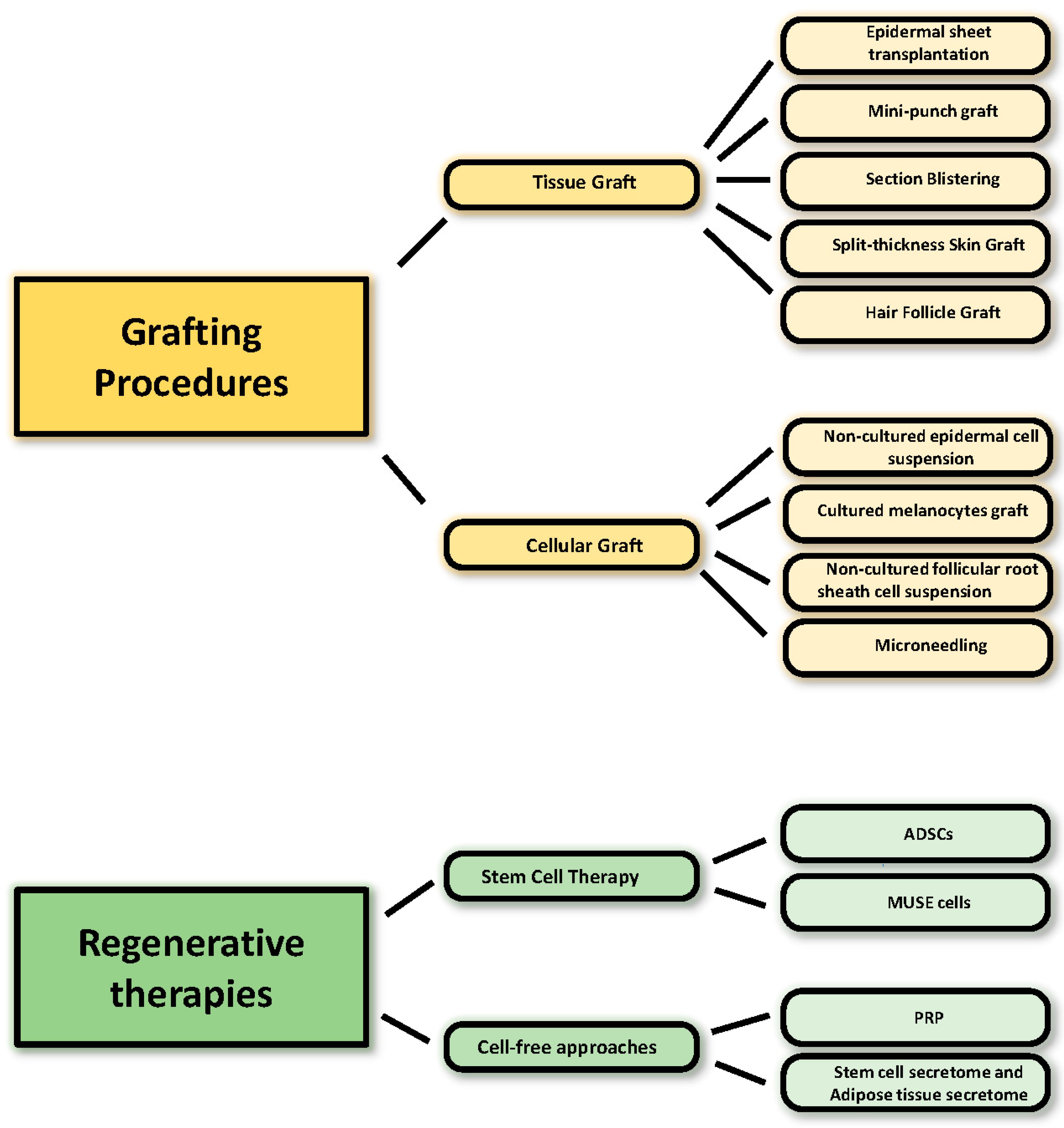 Biomedicines 10 02744 g002
