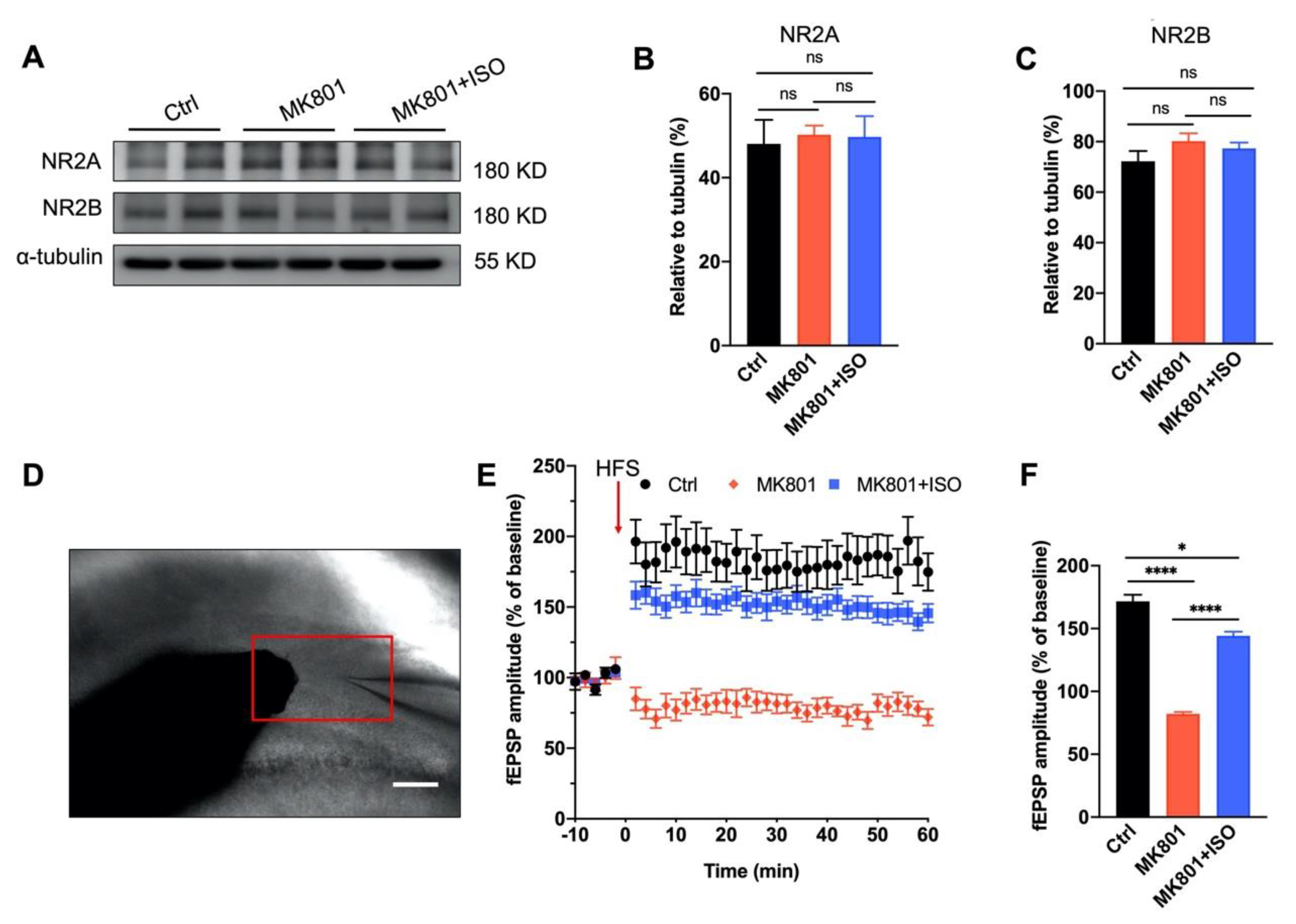 Biomedicines 10 02759 g003