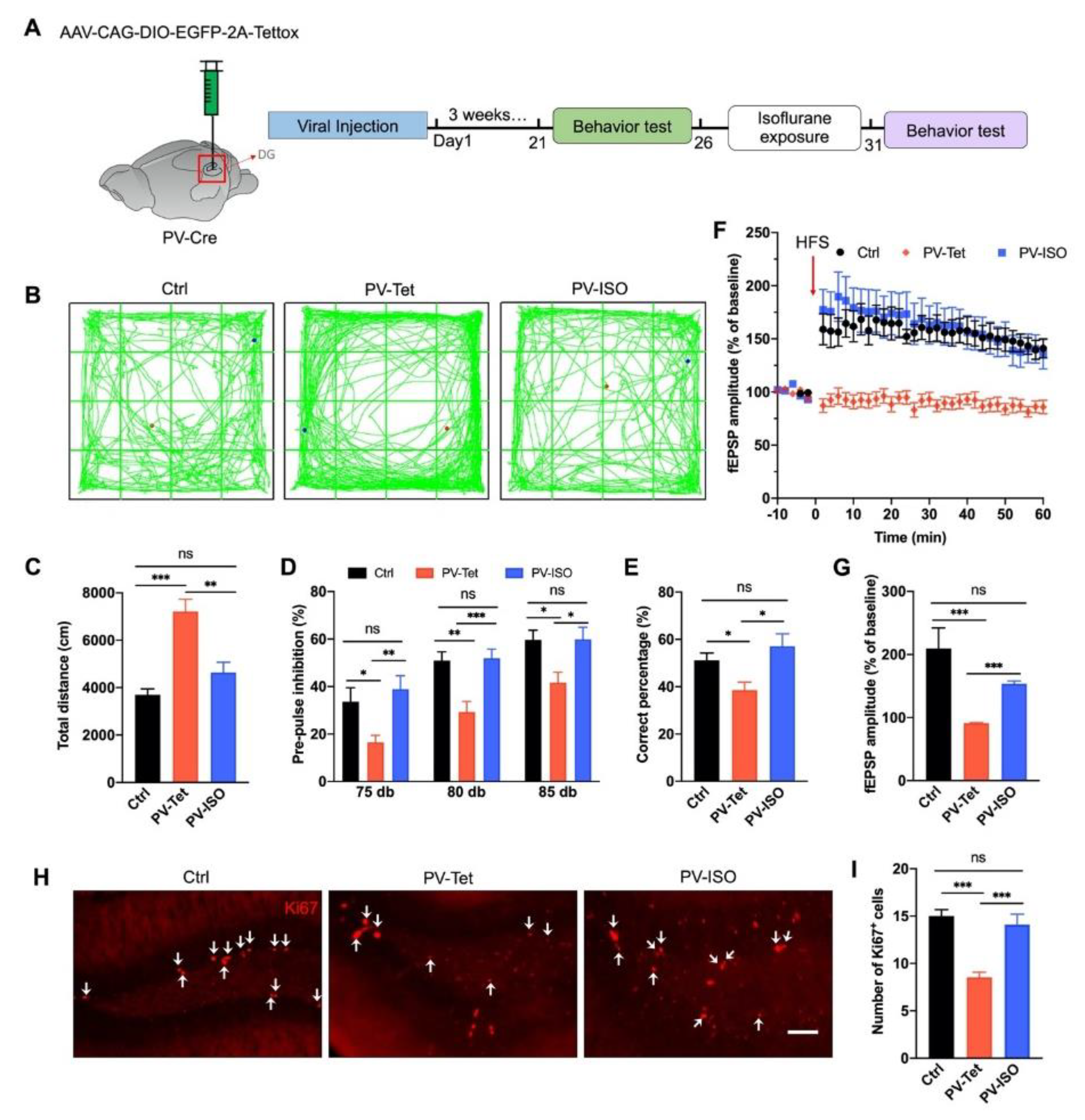 Biomedicines 10 02759 g006