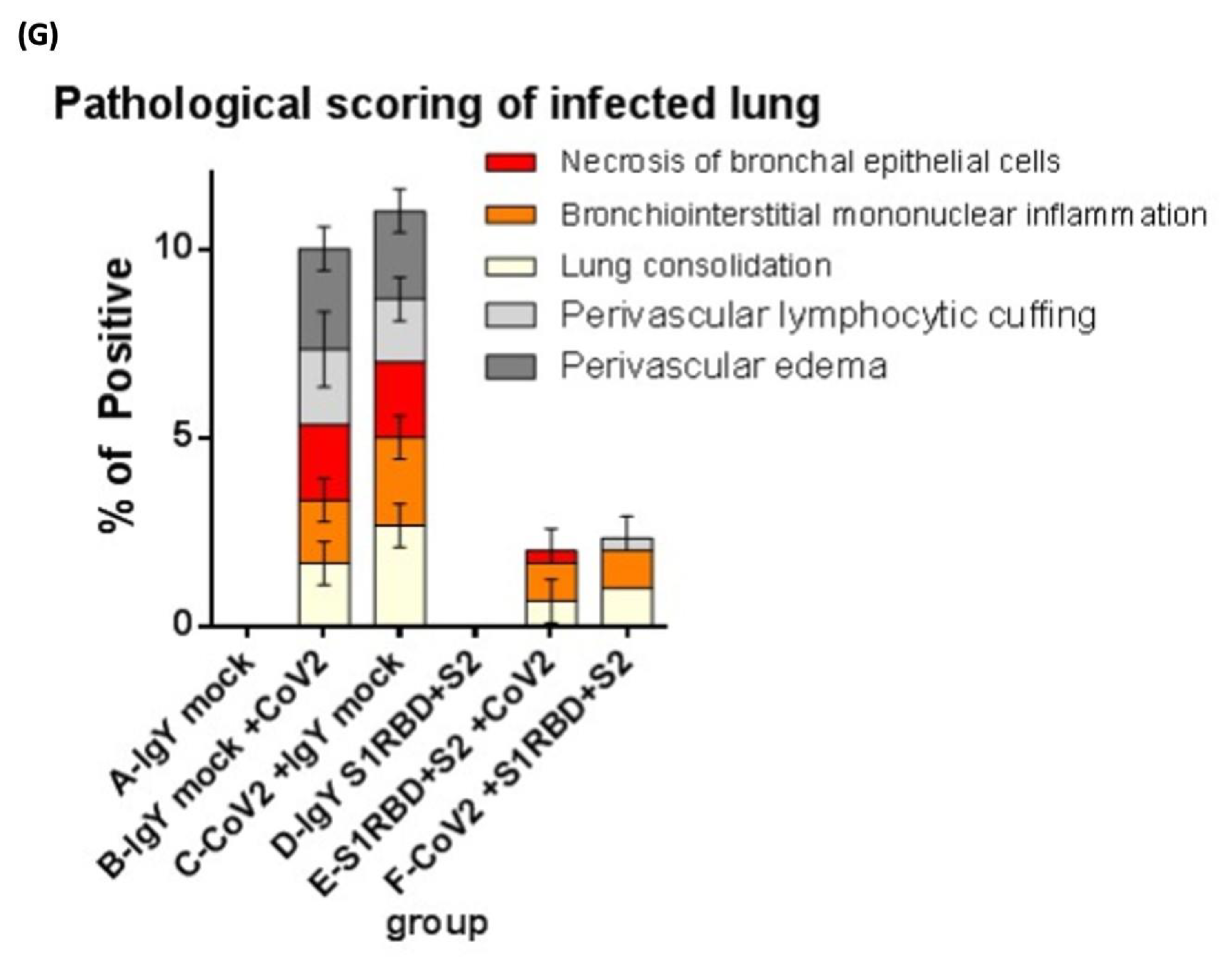 Biomedicines 10 02774 g005b