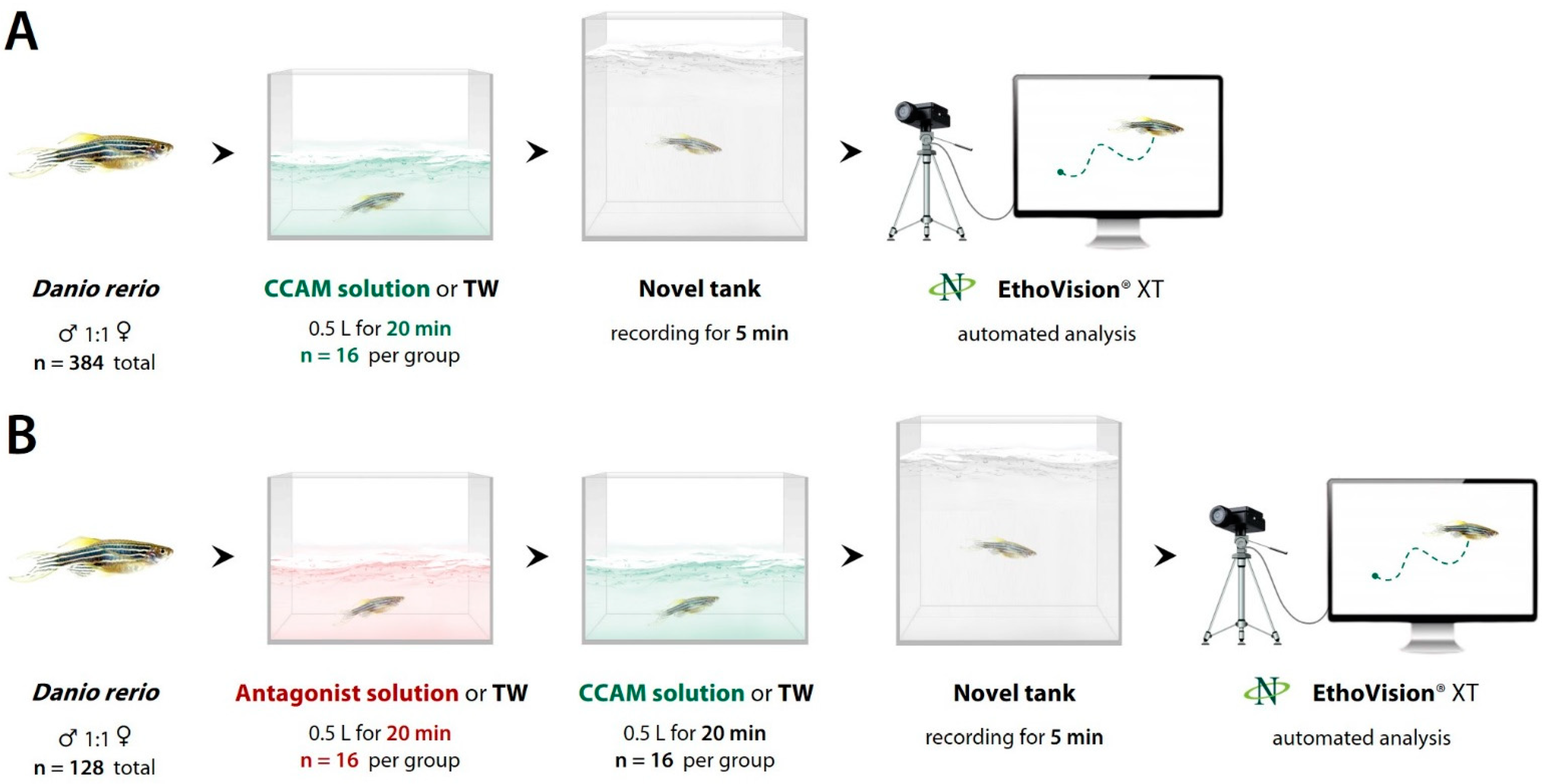 Biomedicines 10 02783 g001 Biomedicines 10 02783 g001