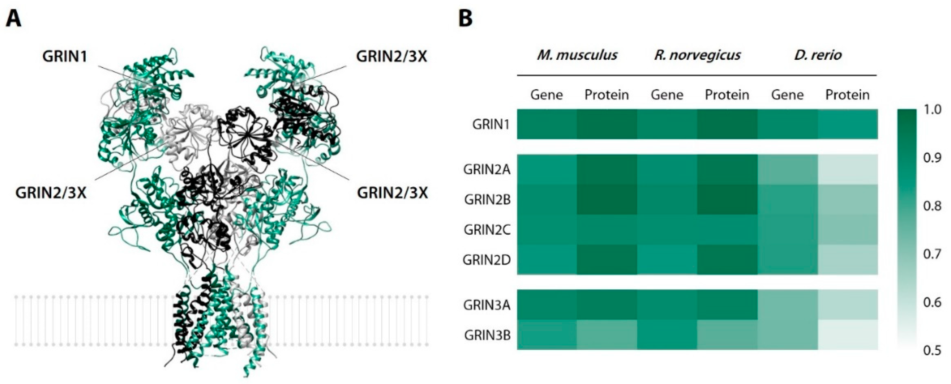 Biomedicines 10 02783 g013 Biomedicines 10 02783 g013