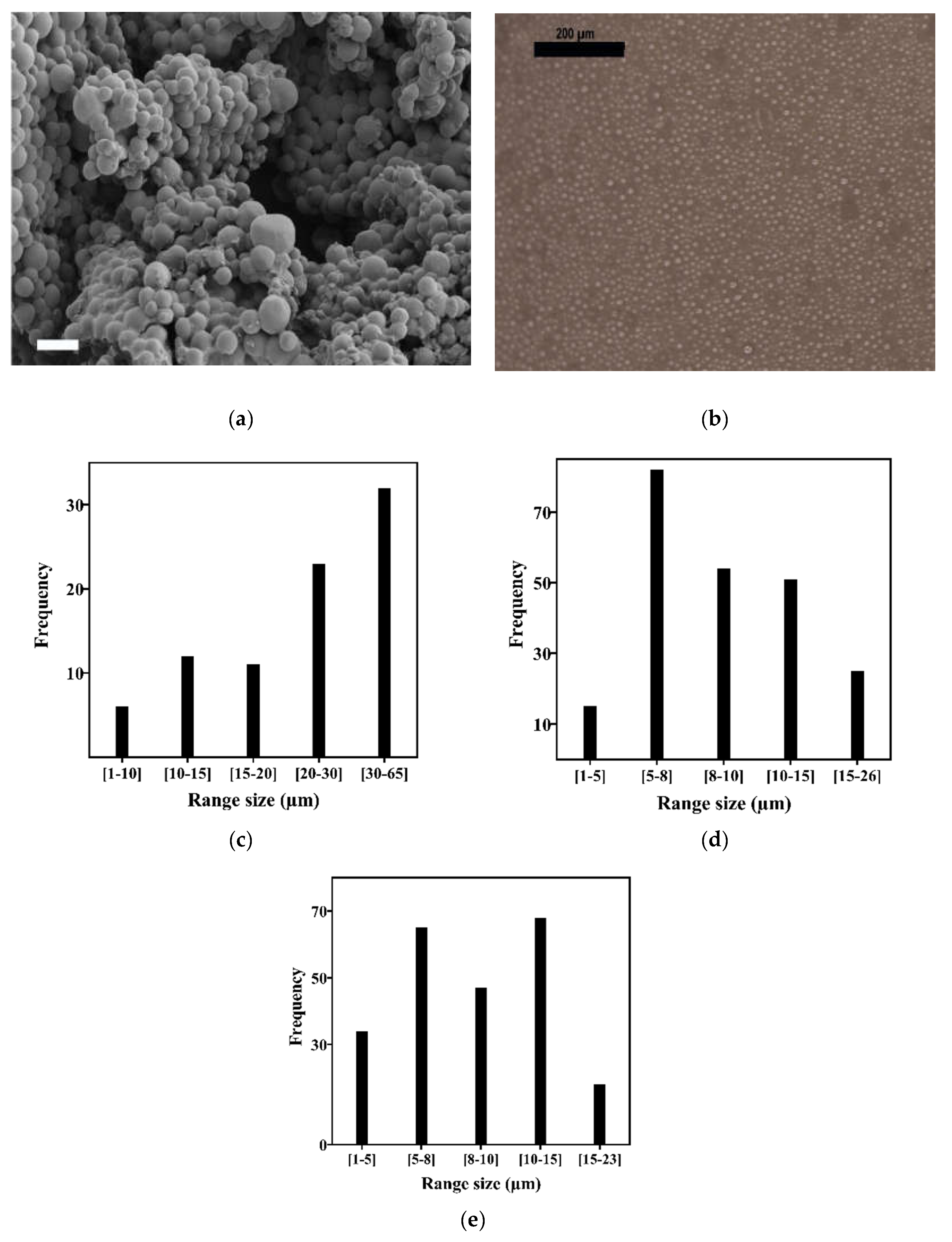 Biomedicines 10 02797 g001