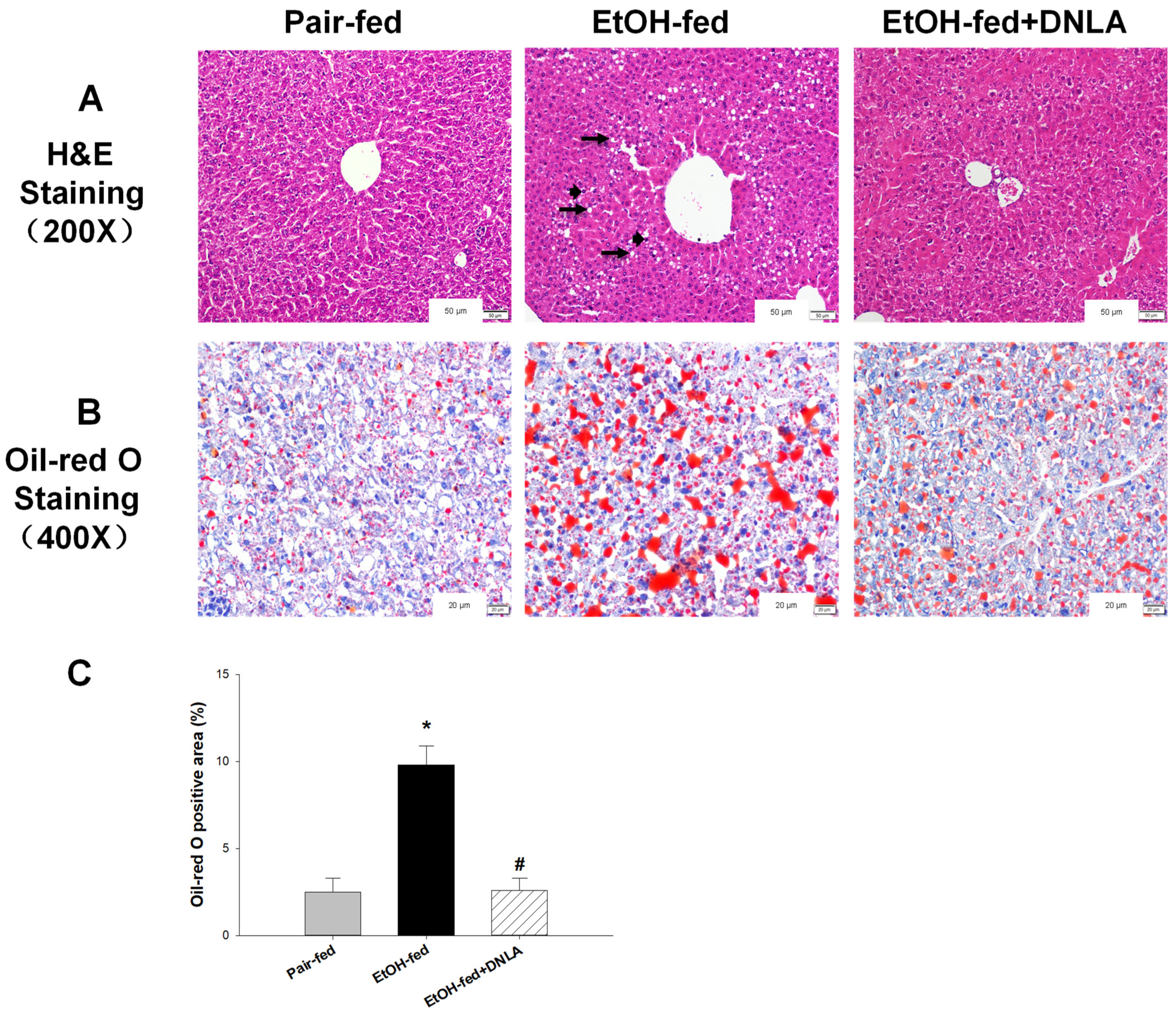 Biomedicines 10 02800 g003