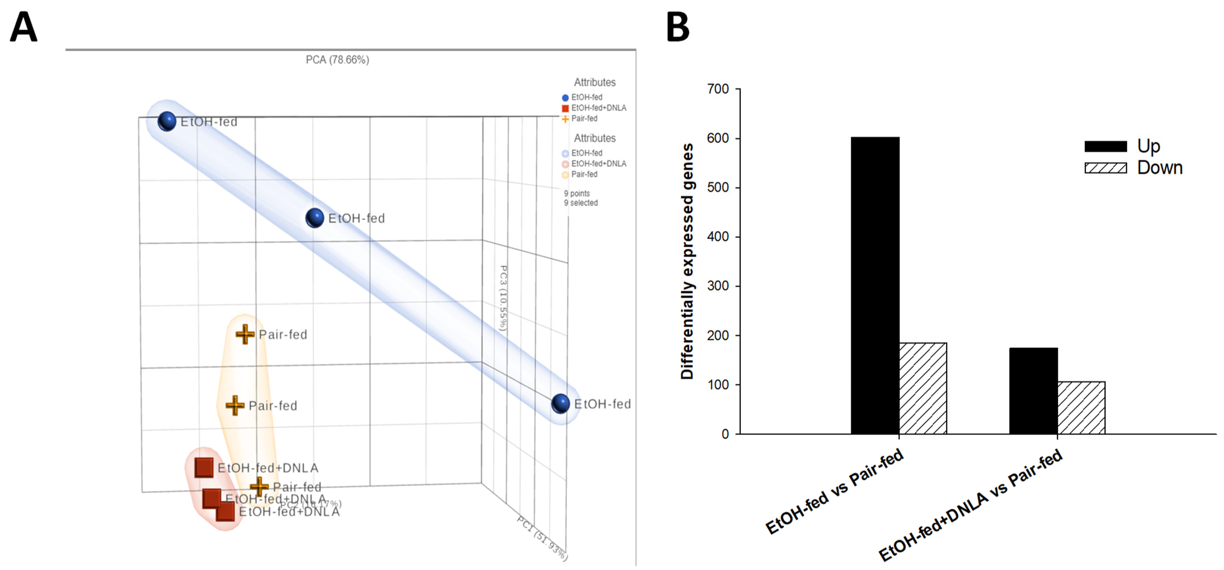 Biomedicines 10 02800 g004