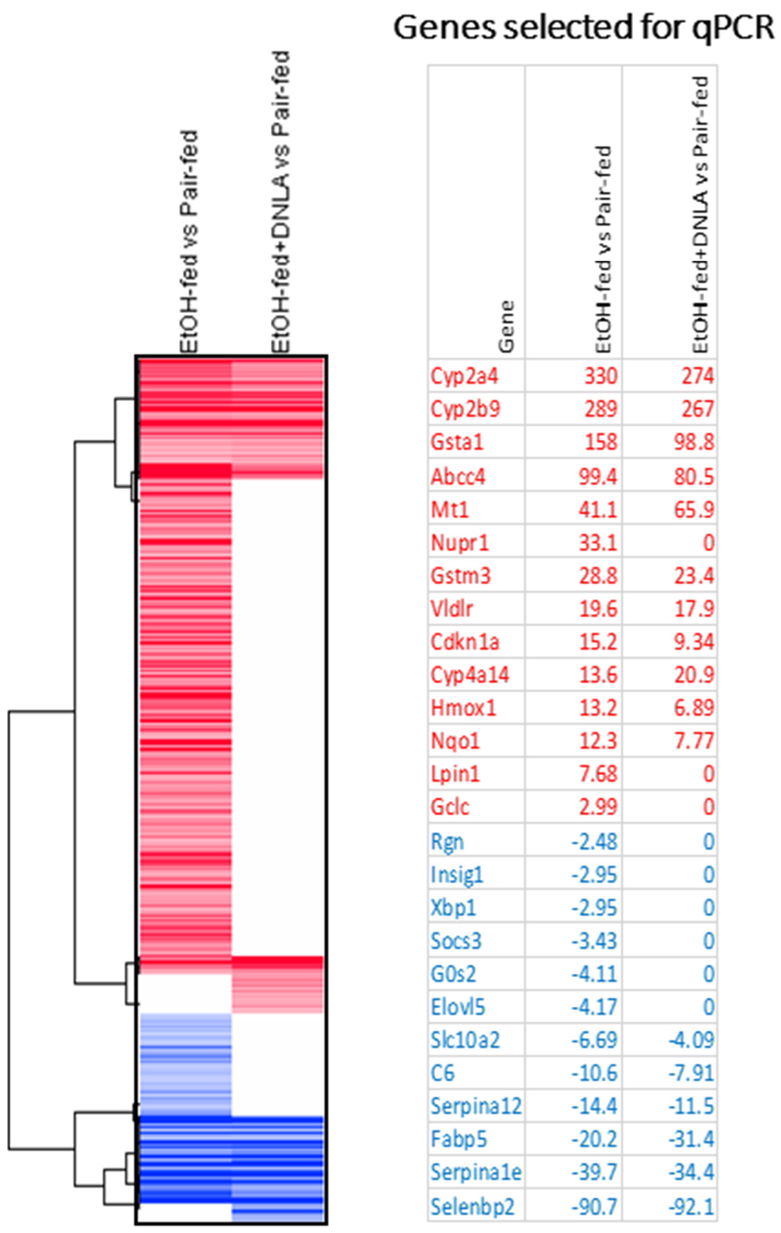 Biomedicines 10 02800 g005