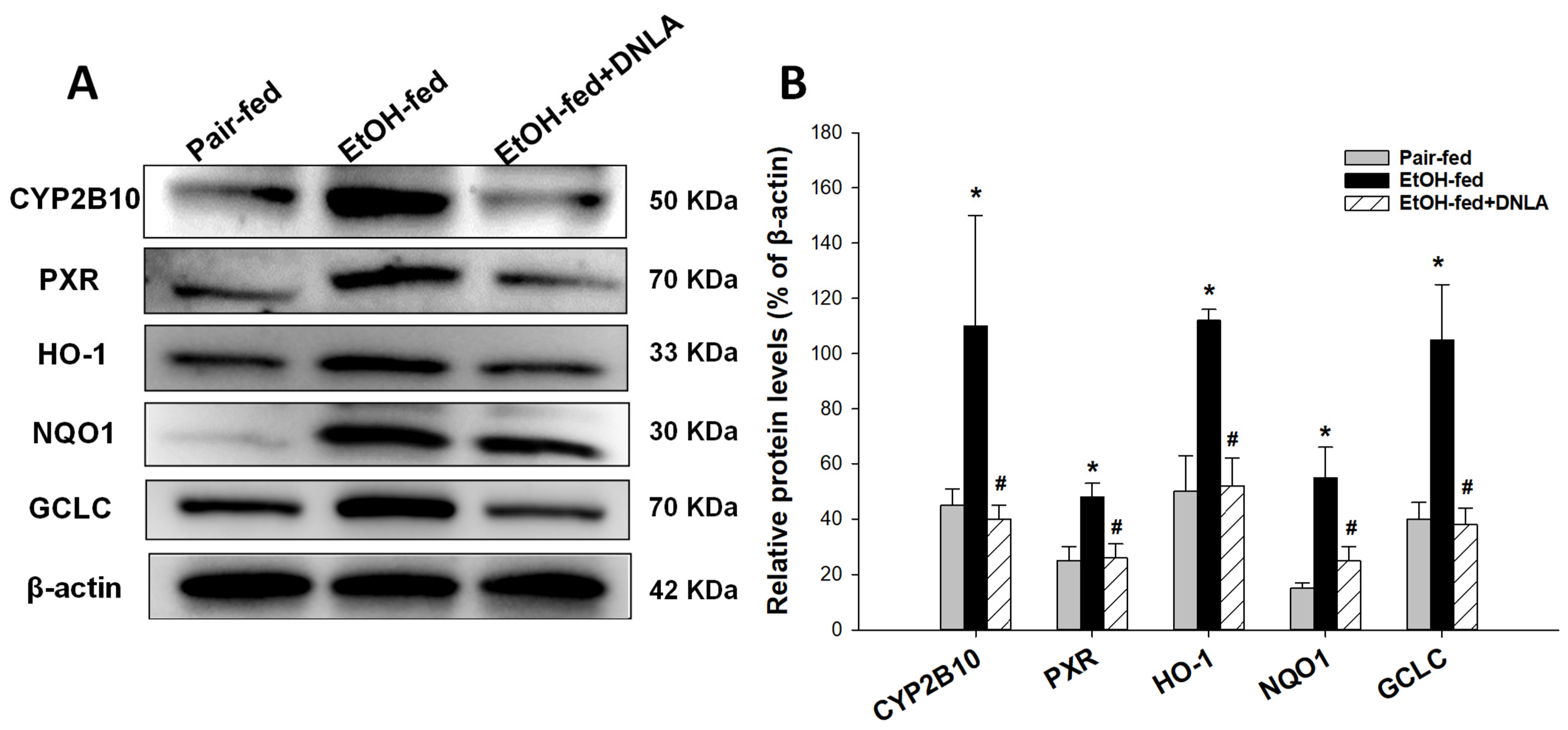 Biomedicines 10 02800 g009
