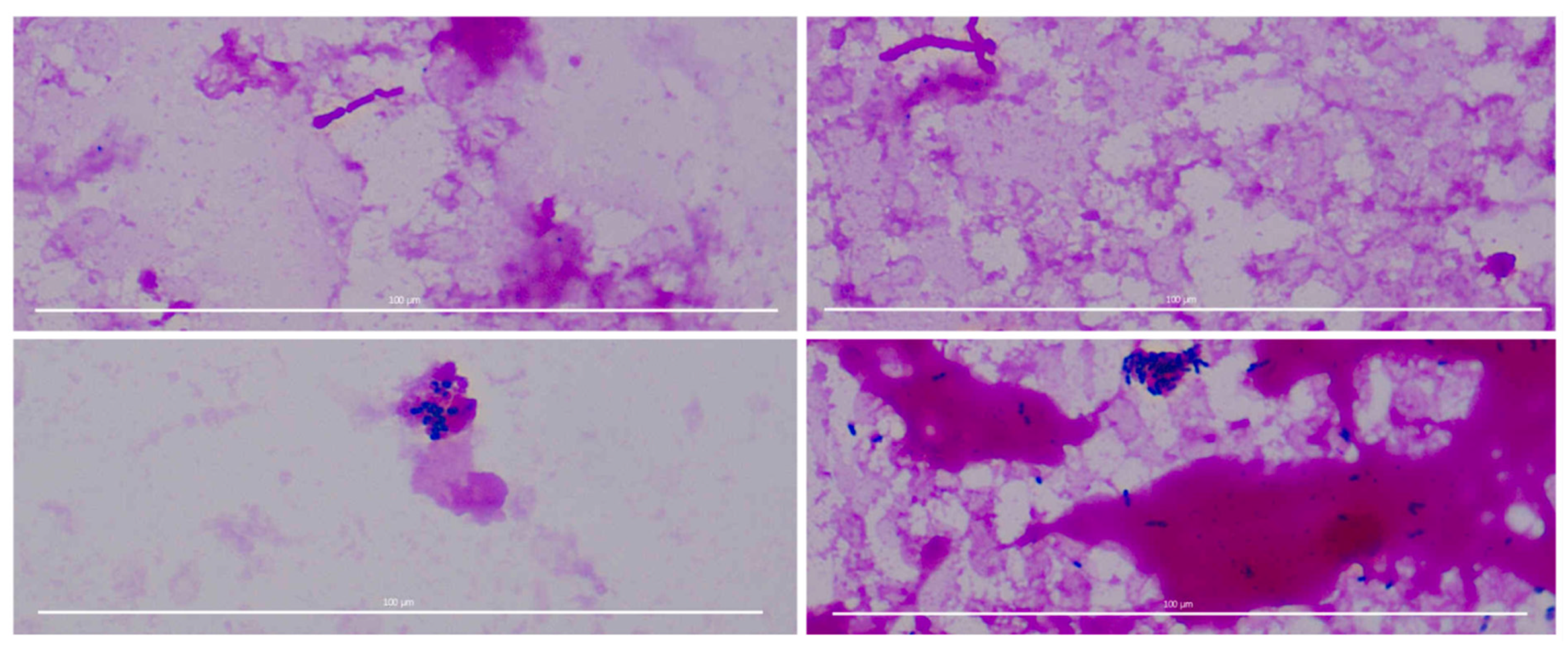 Biomedicines 10 02808 g002 Biomedicines 10 02808 g002