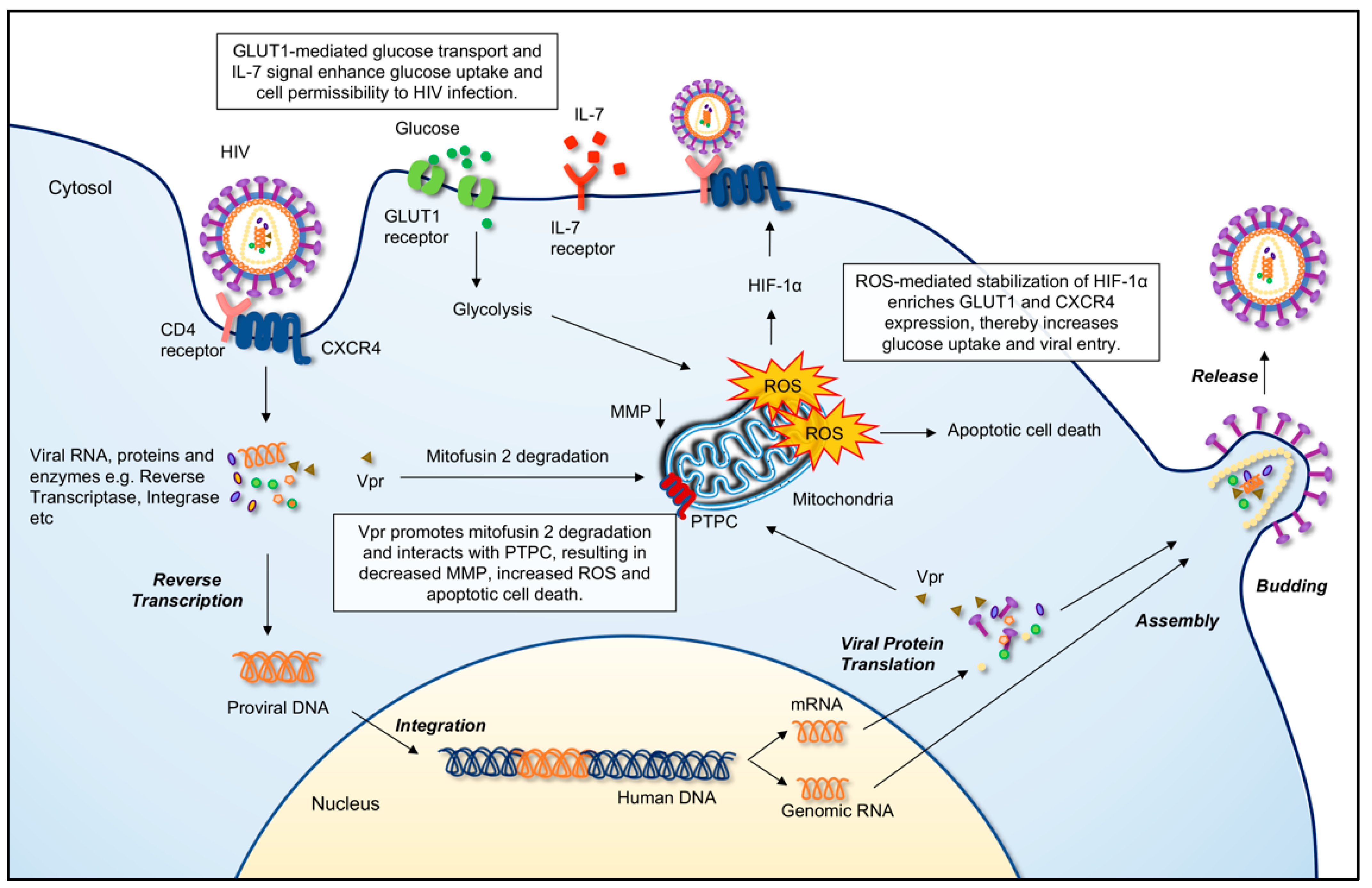 Biomedicines 10 02809 g002