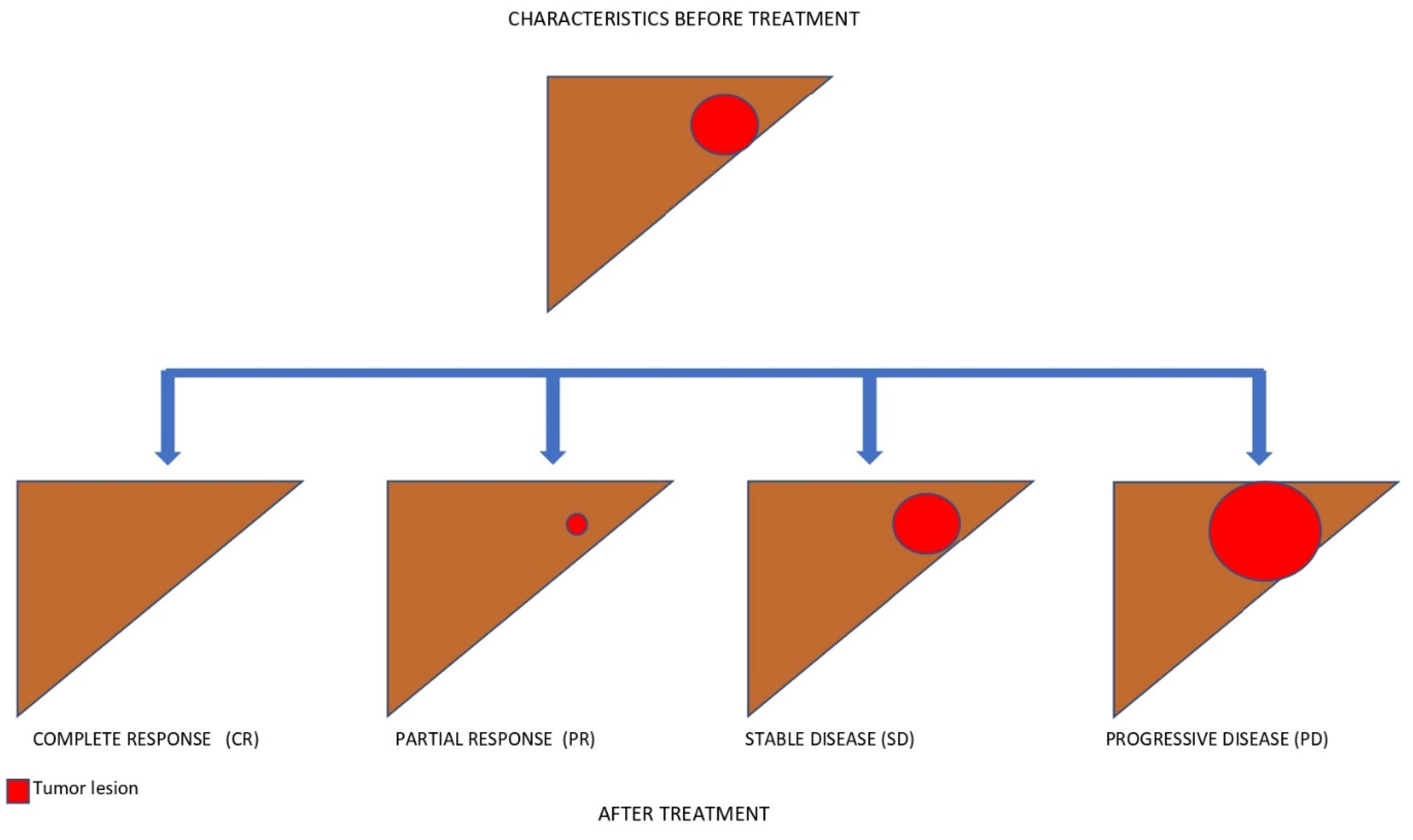 Biomedicines 10 02827 g004