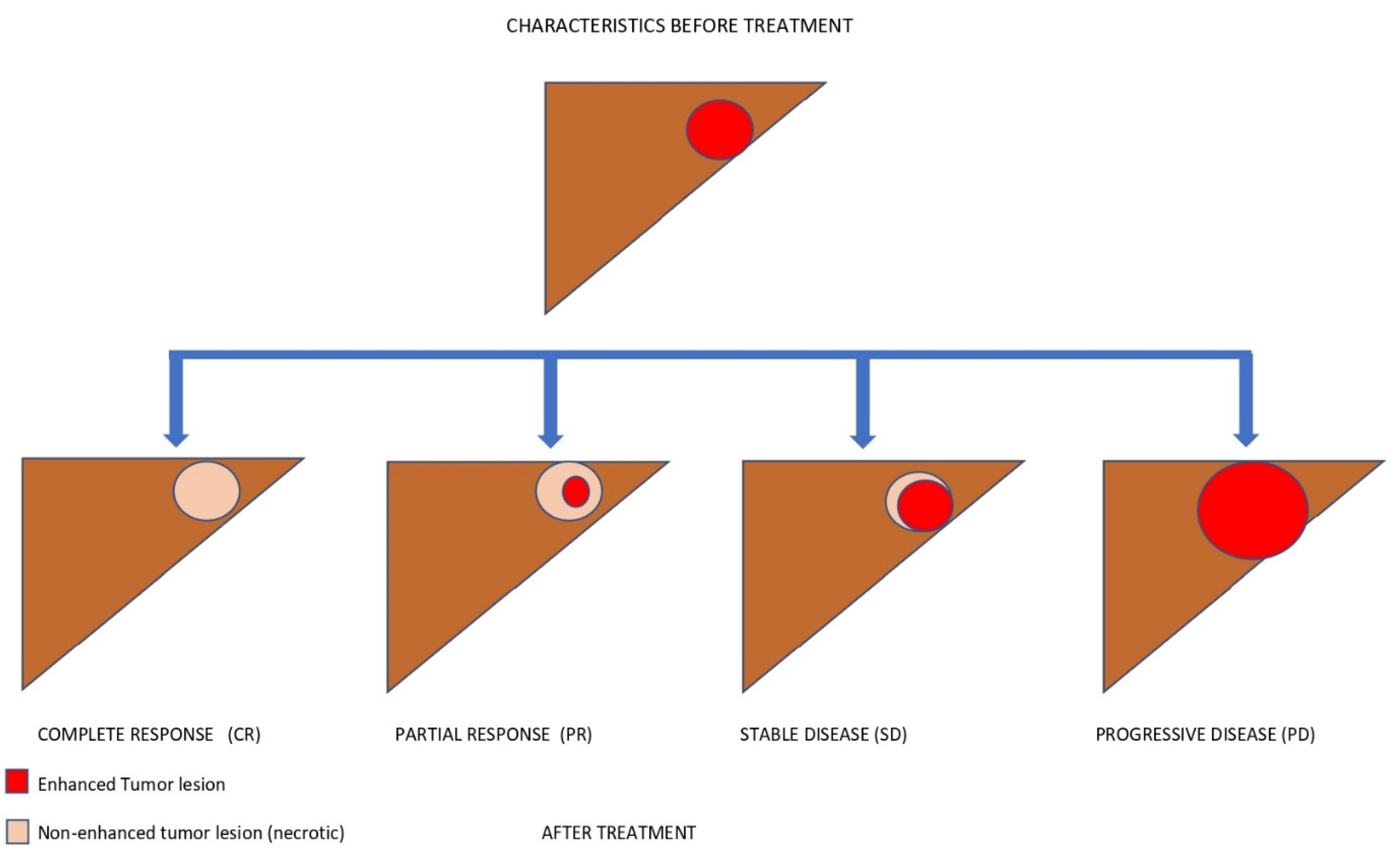 Biomedicines 10 02827 g005