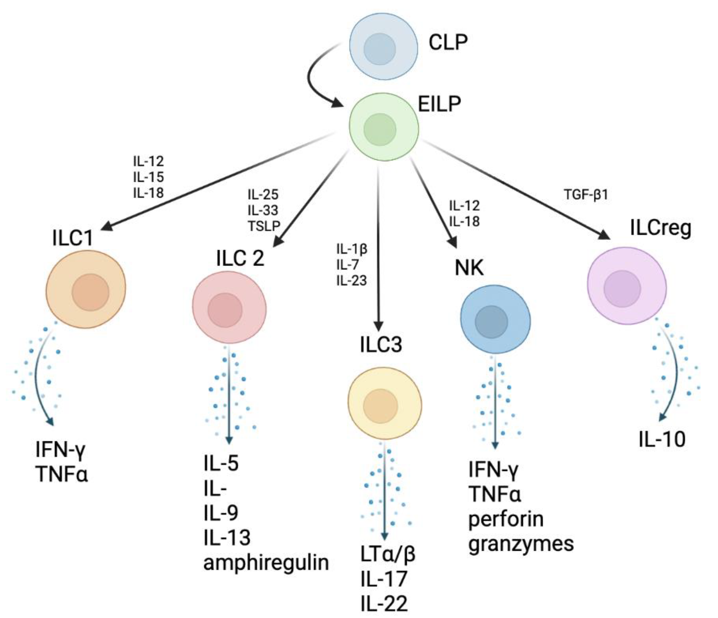 Biomedicines 10 02828 g001 Biomedicines 10 02828 g001