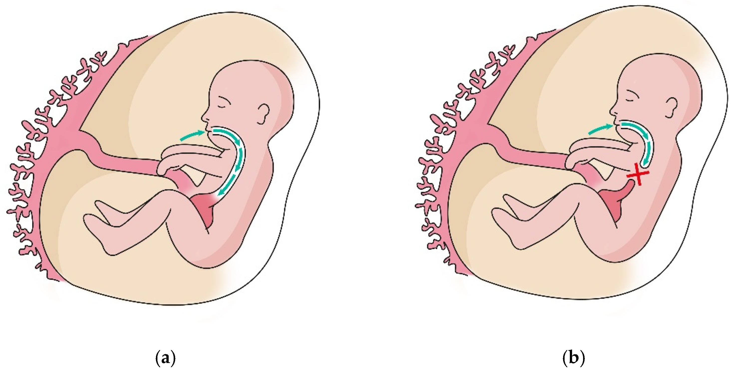 Biomedicines 10 02836 g001 Biomedicines 10 02836 g001