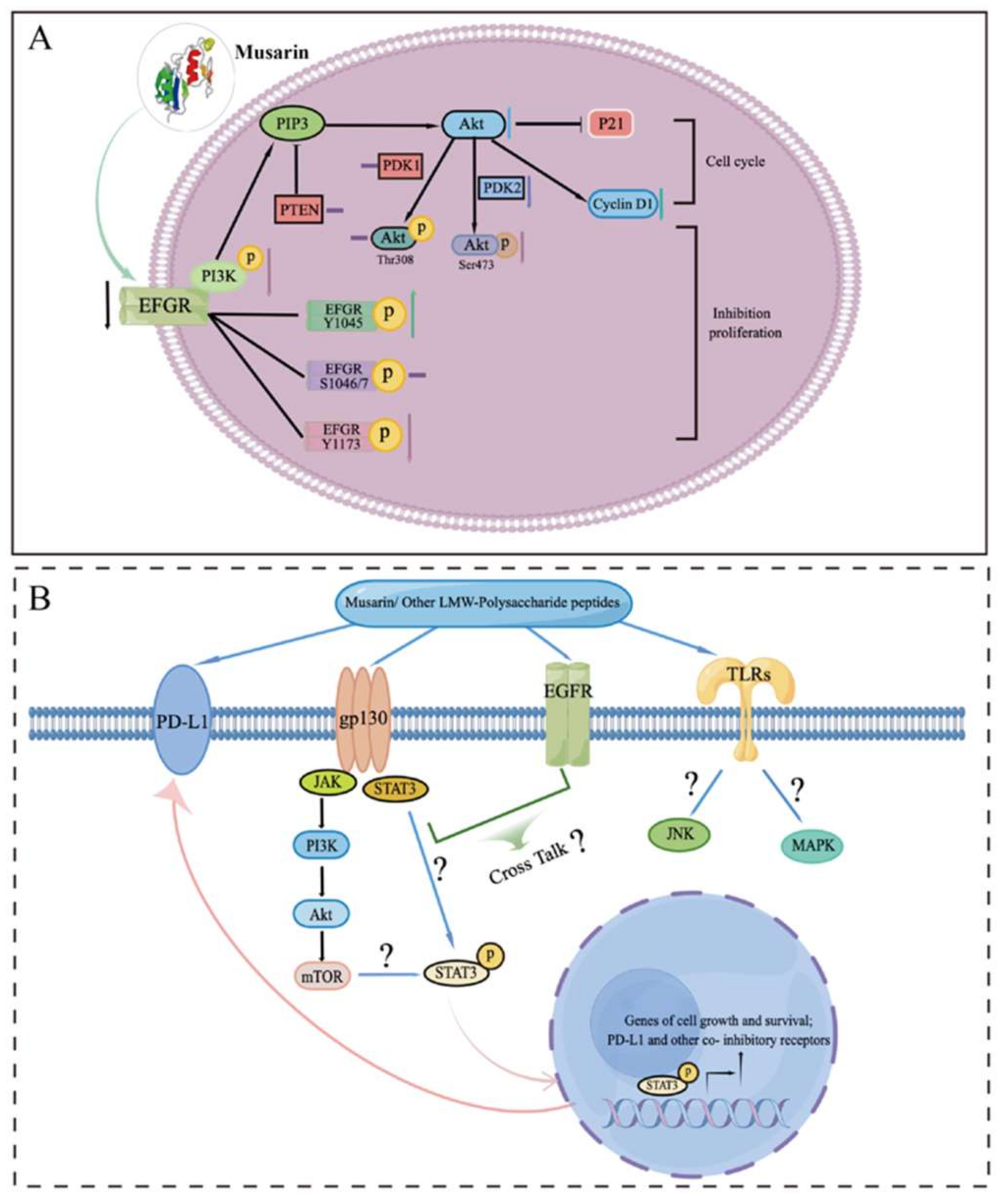 Biomedicines 10 02841 g001 Biomedicines 10 02841 g001