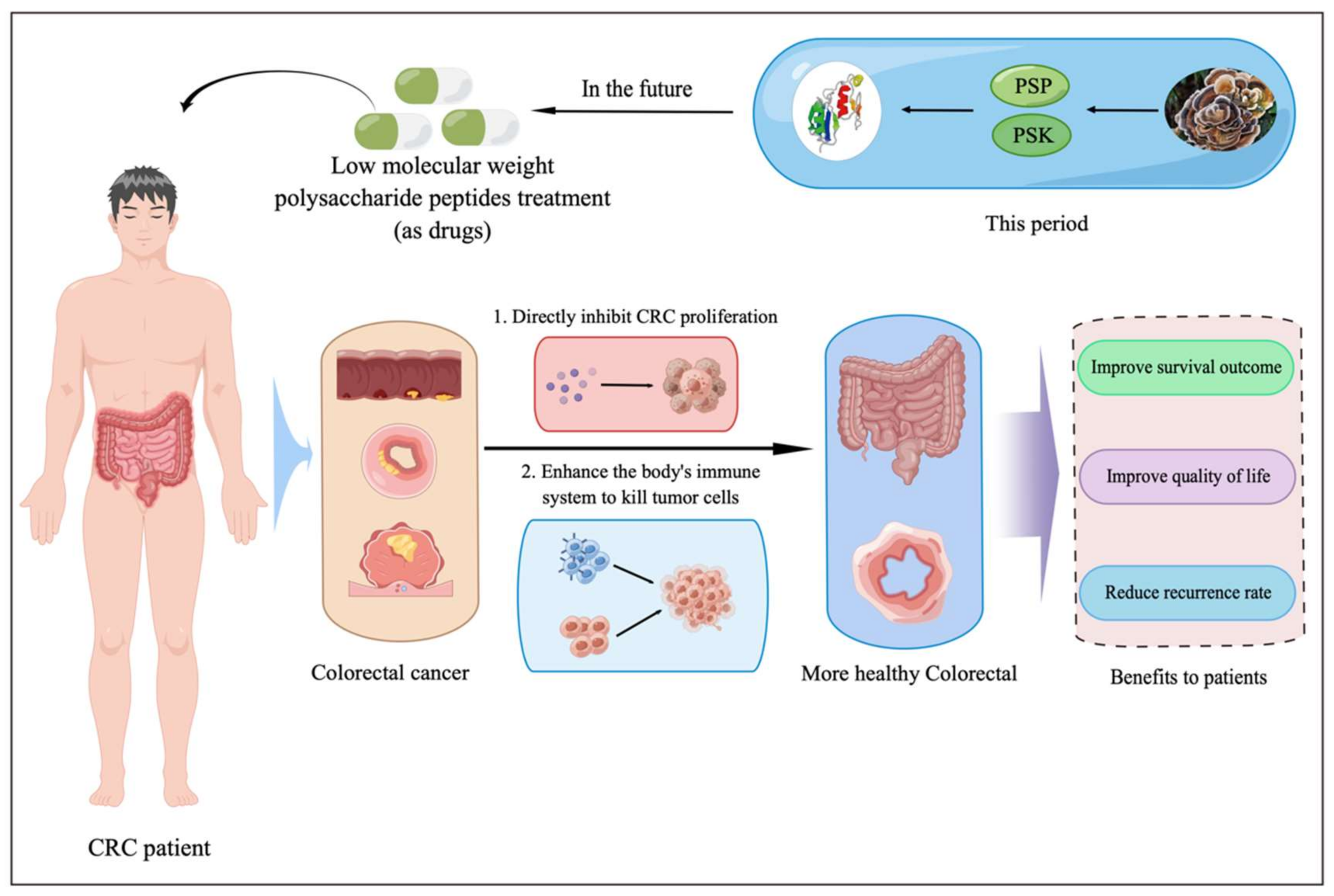 Biomedicines 10 02841 g002 Biomedicines 10 02841 g002