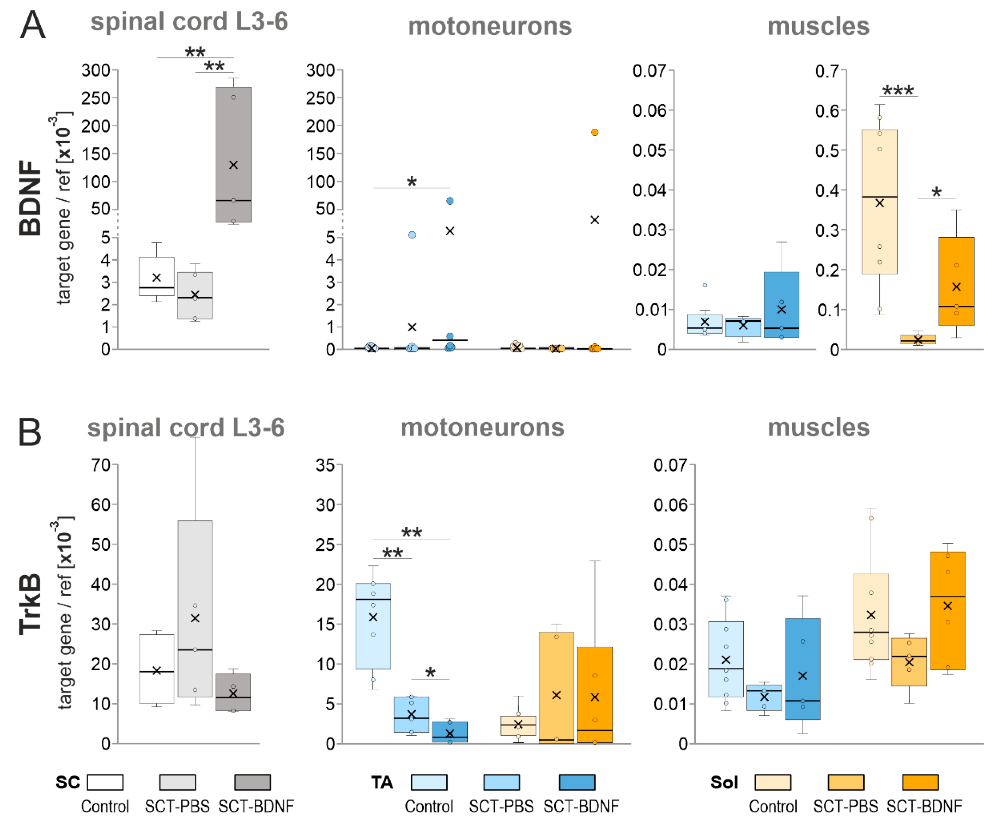 Biomedicines 10 02851 g002
