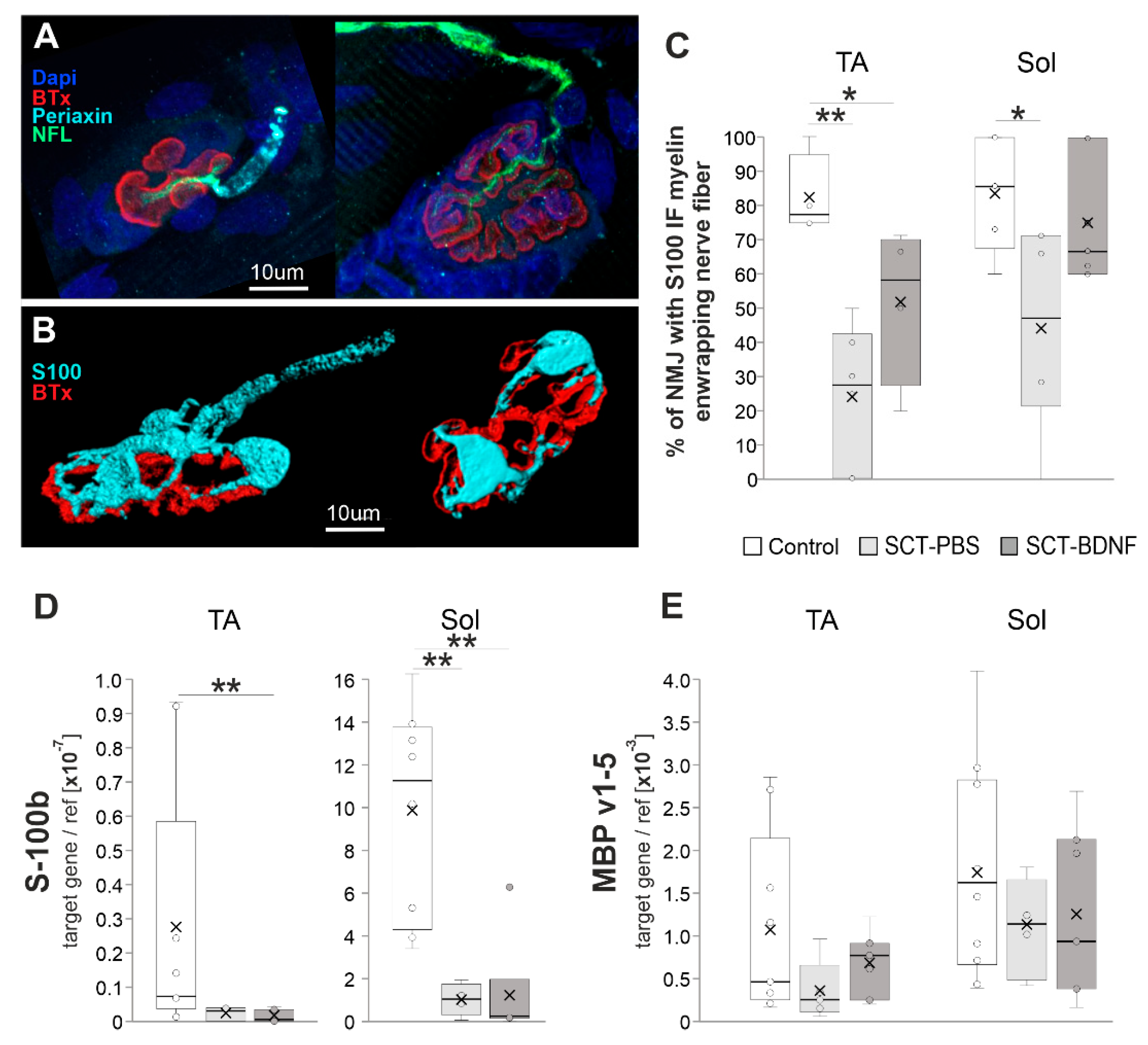 Biomedicines 10 02851 g003