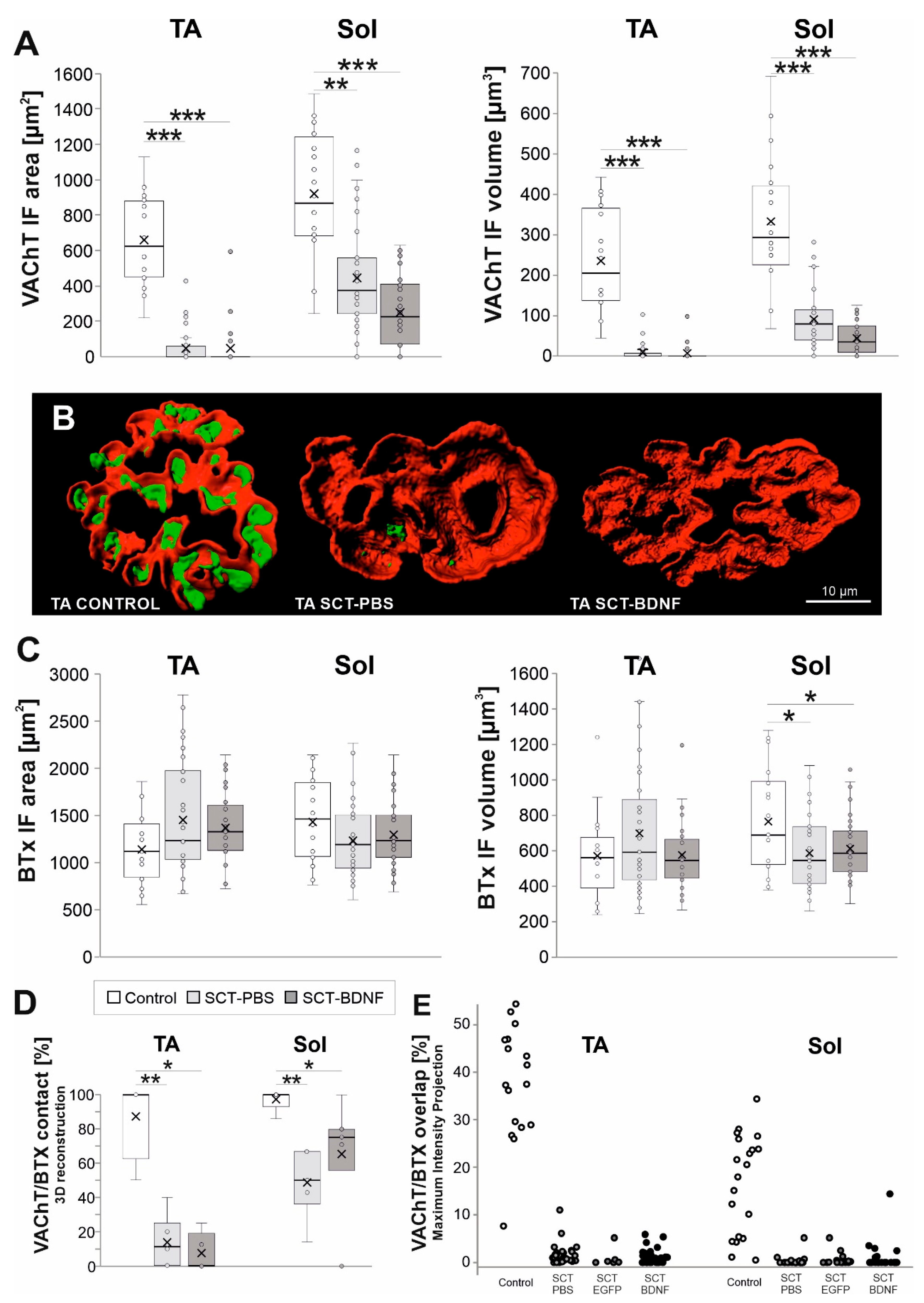 Biomedicines 10 02851 g004