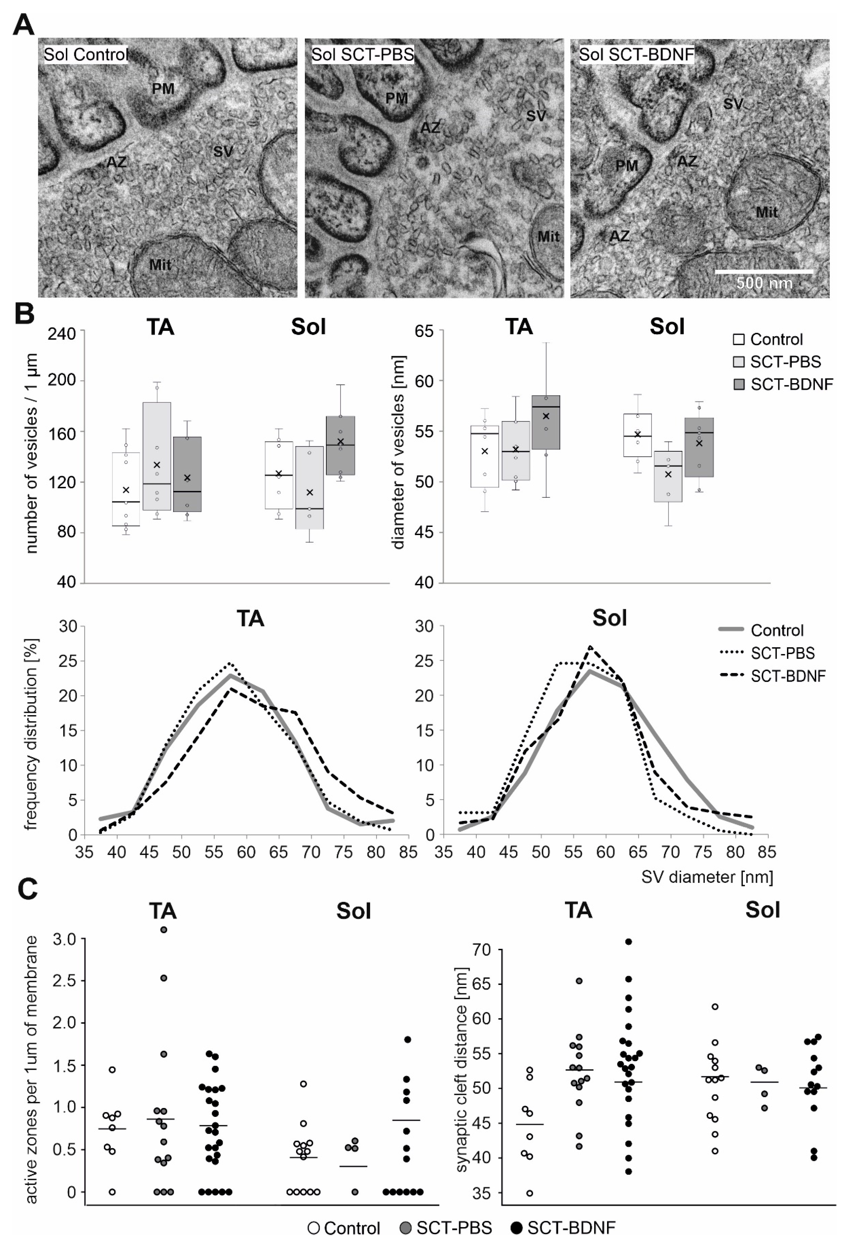 Biomedicines 10 02851 g005