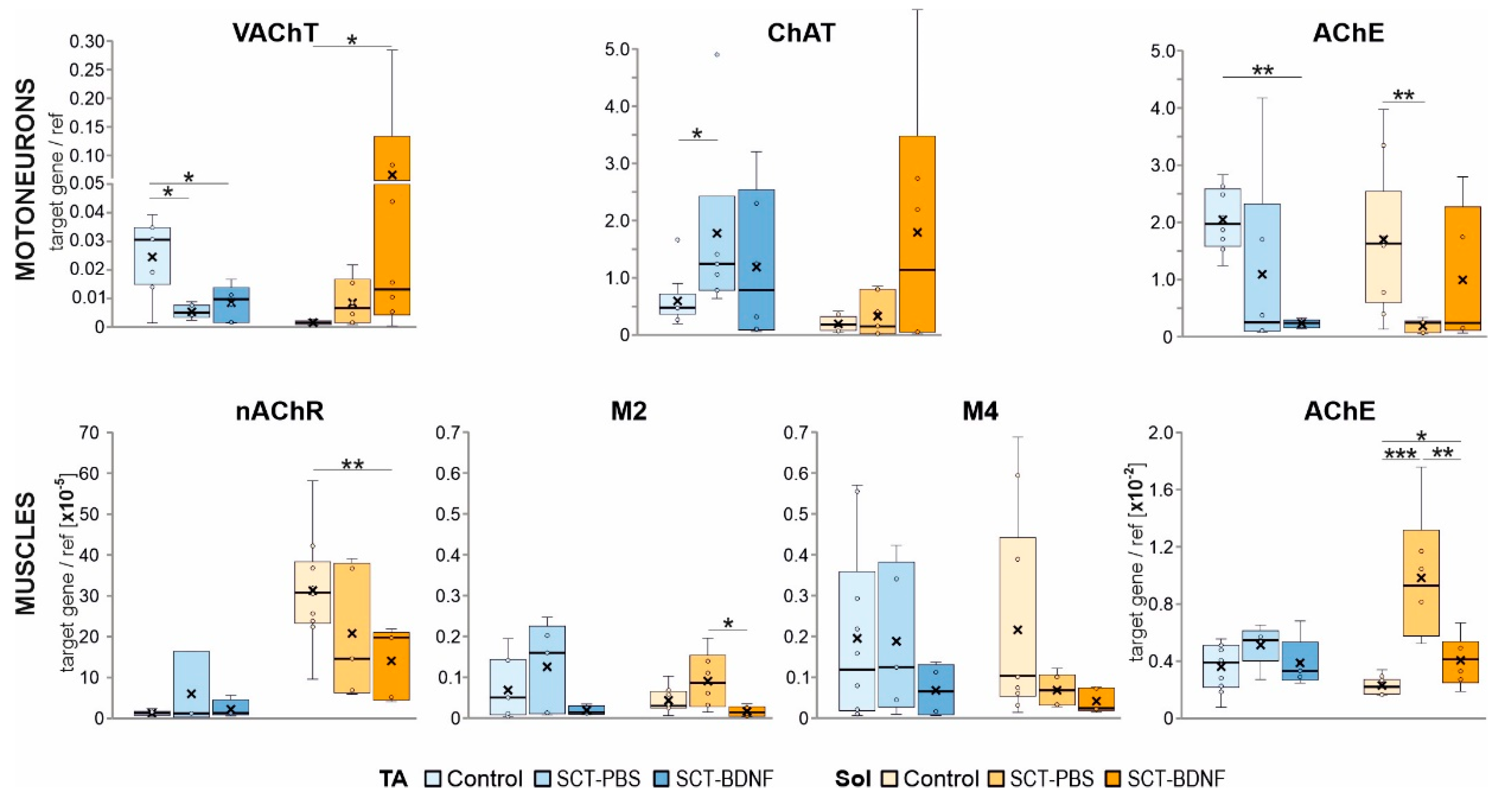 Biomedicines 10 02851 g006