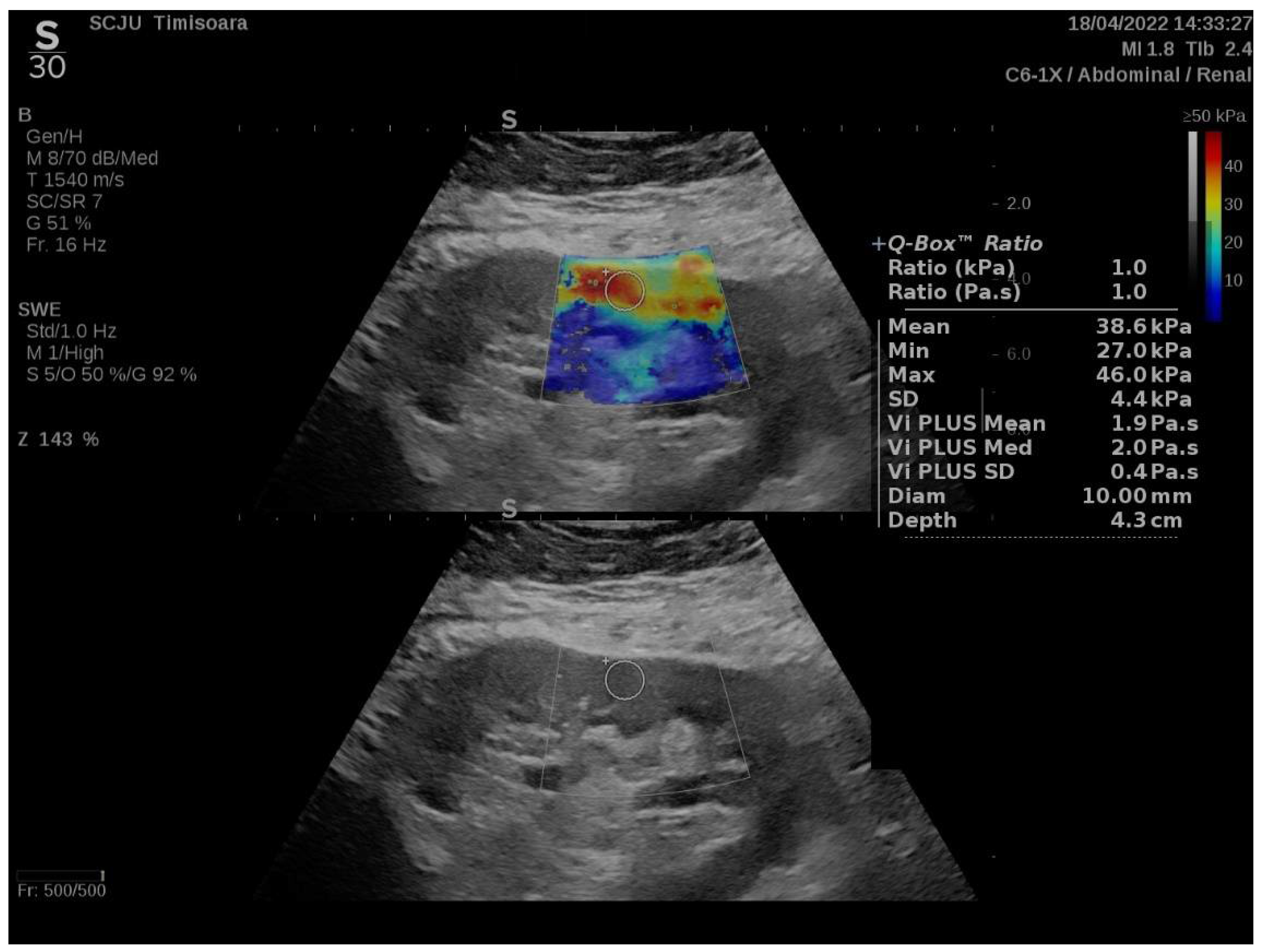 Biomedicines 10 02859 g001