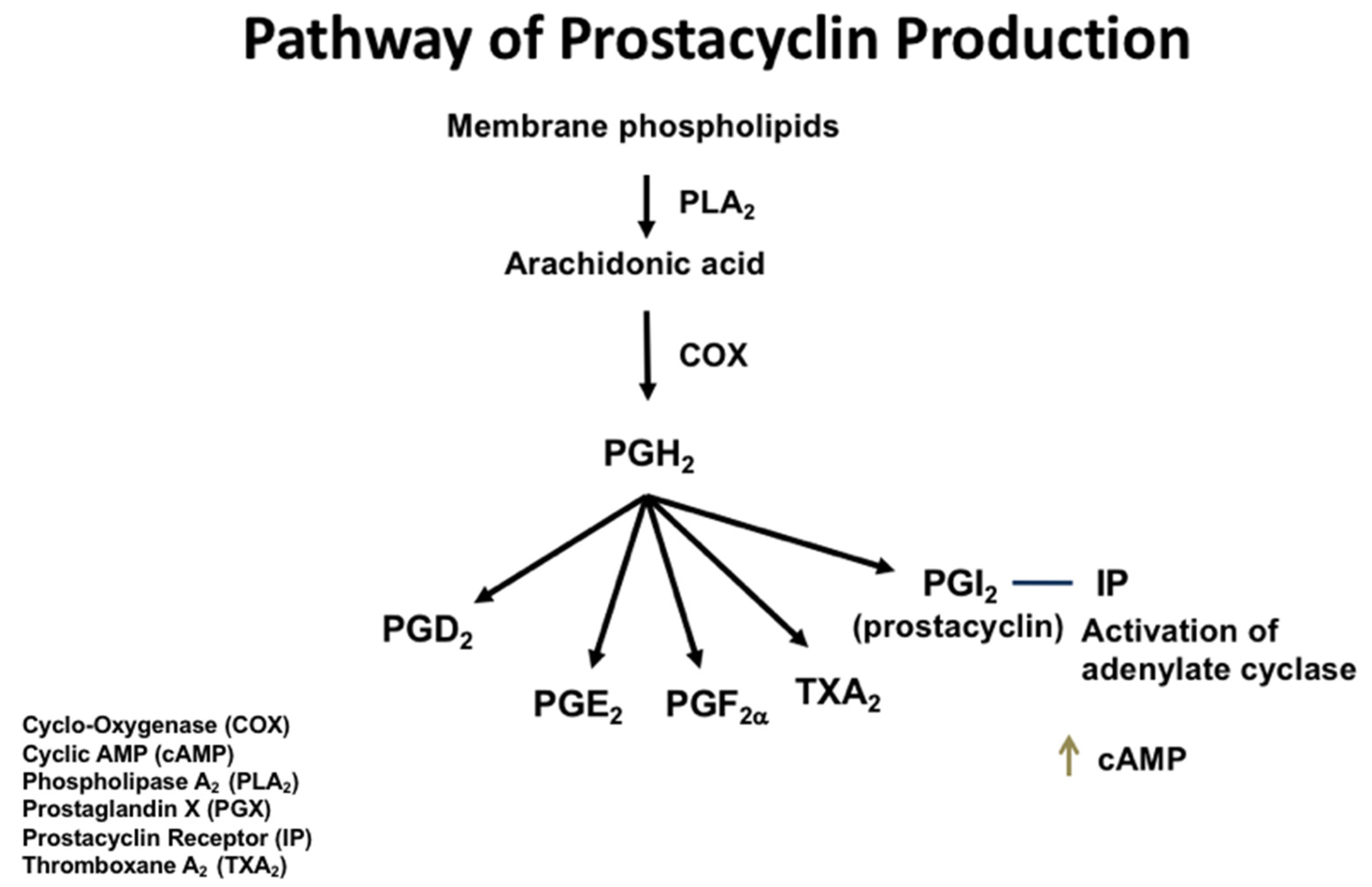 Biomedicines 10 02862 g001
