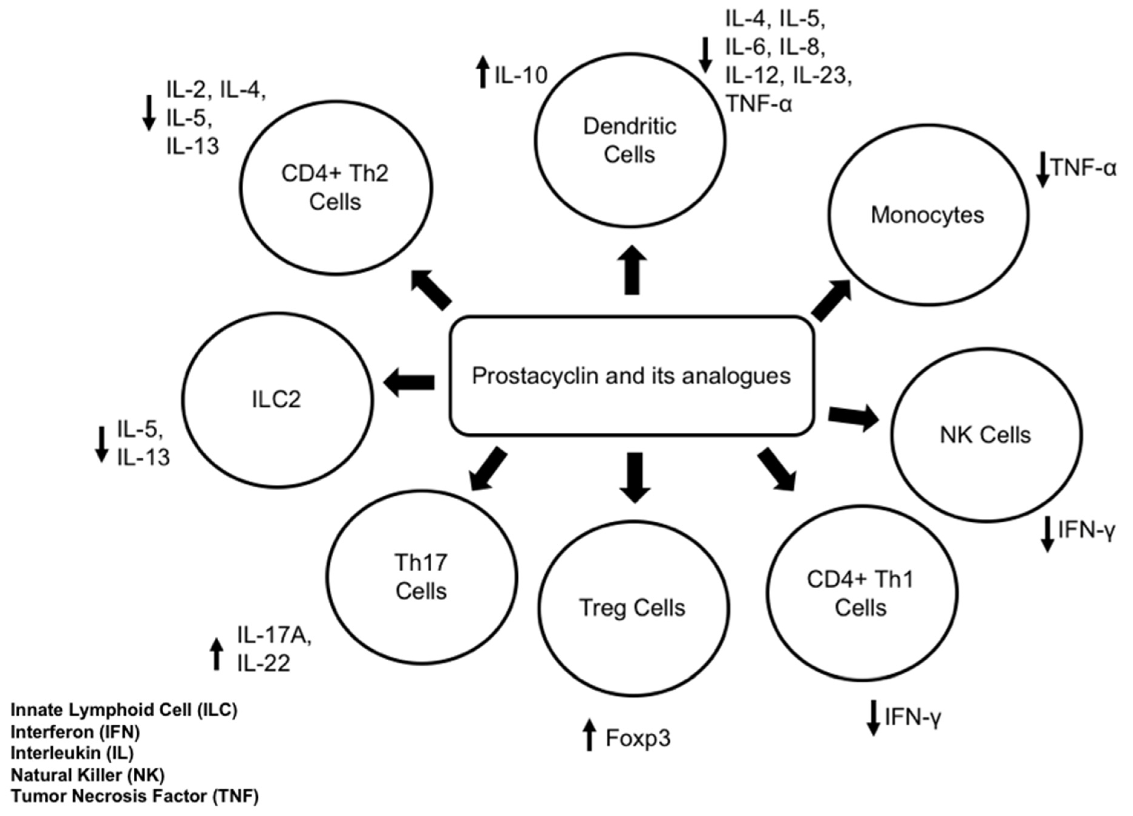 Biomedicines 10 02862 g002