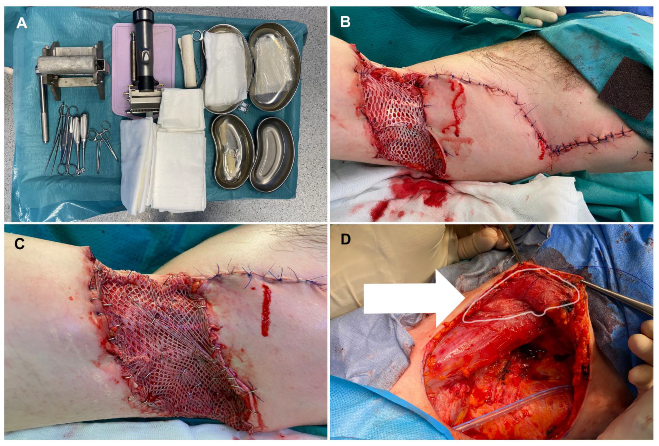 Biomedicines 10 02870 g004