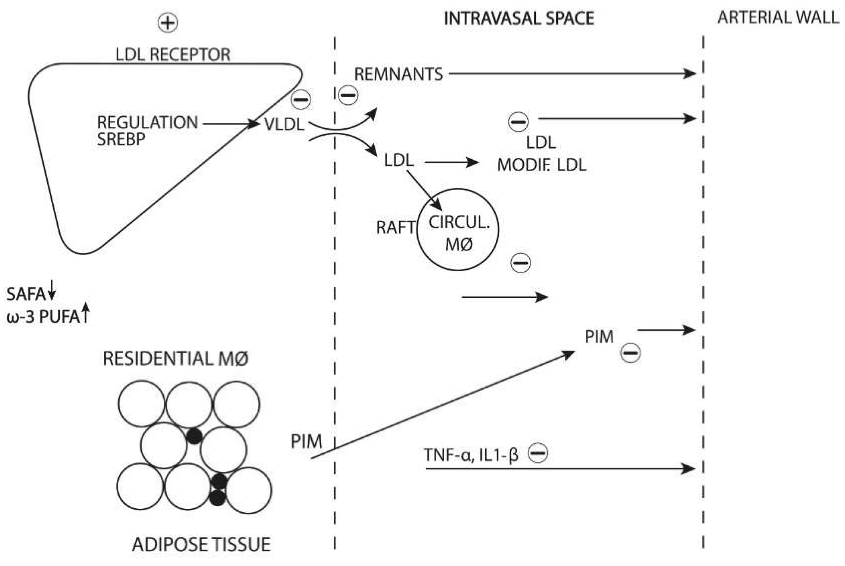 Biomedicines 10 02871 g005