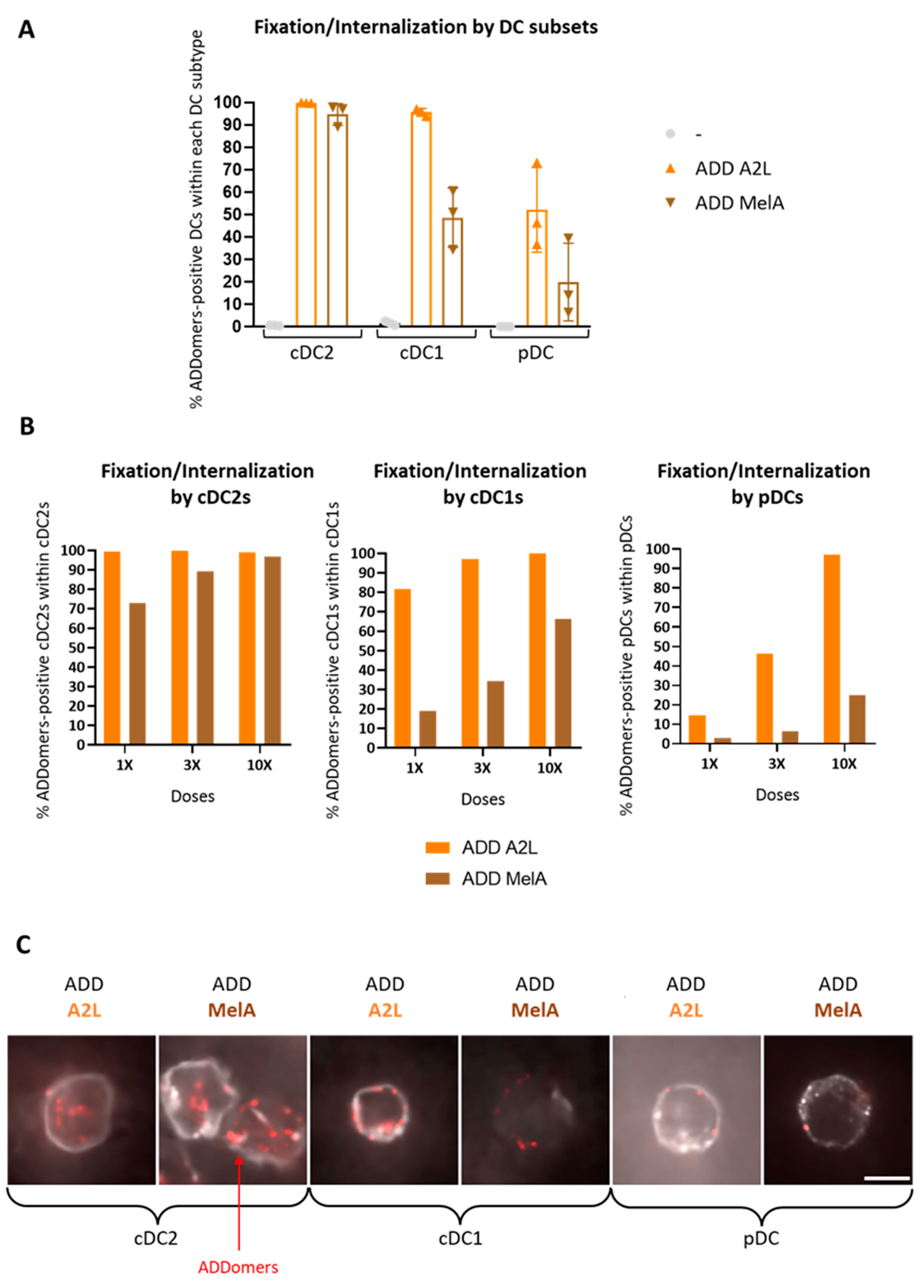 Biomedicines 10 02881 g002