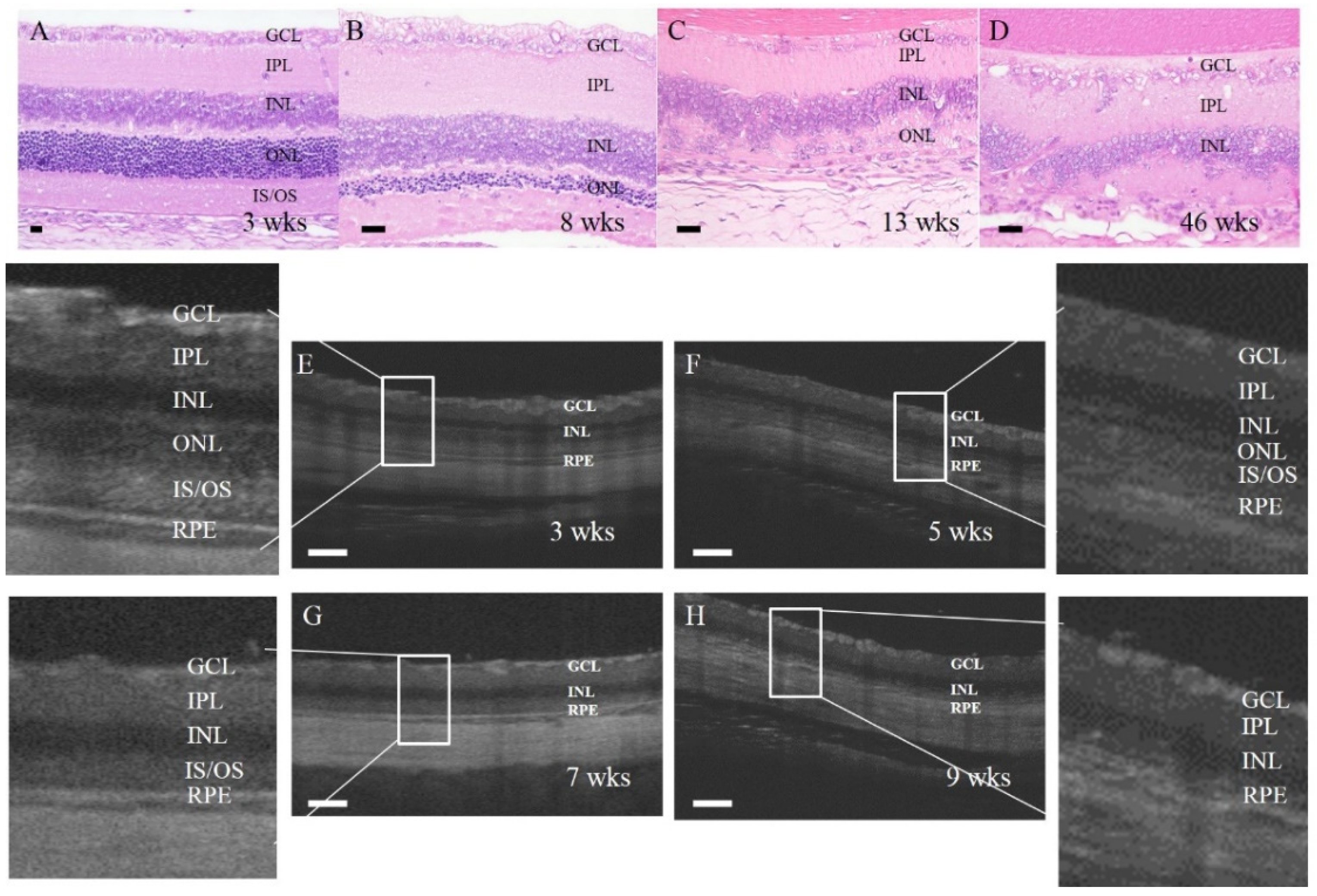 Biomedicines 10 02883 g001 Biomedicines 10 02883 g001