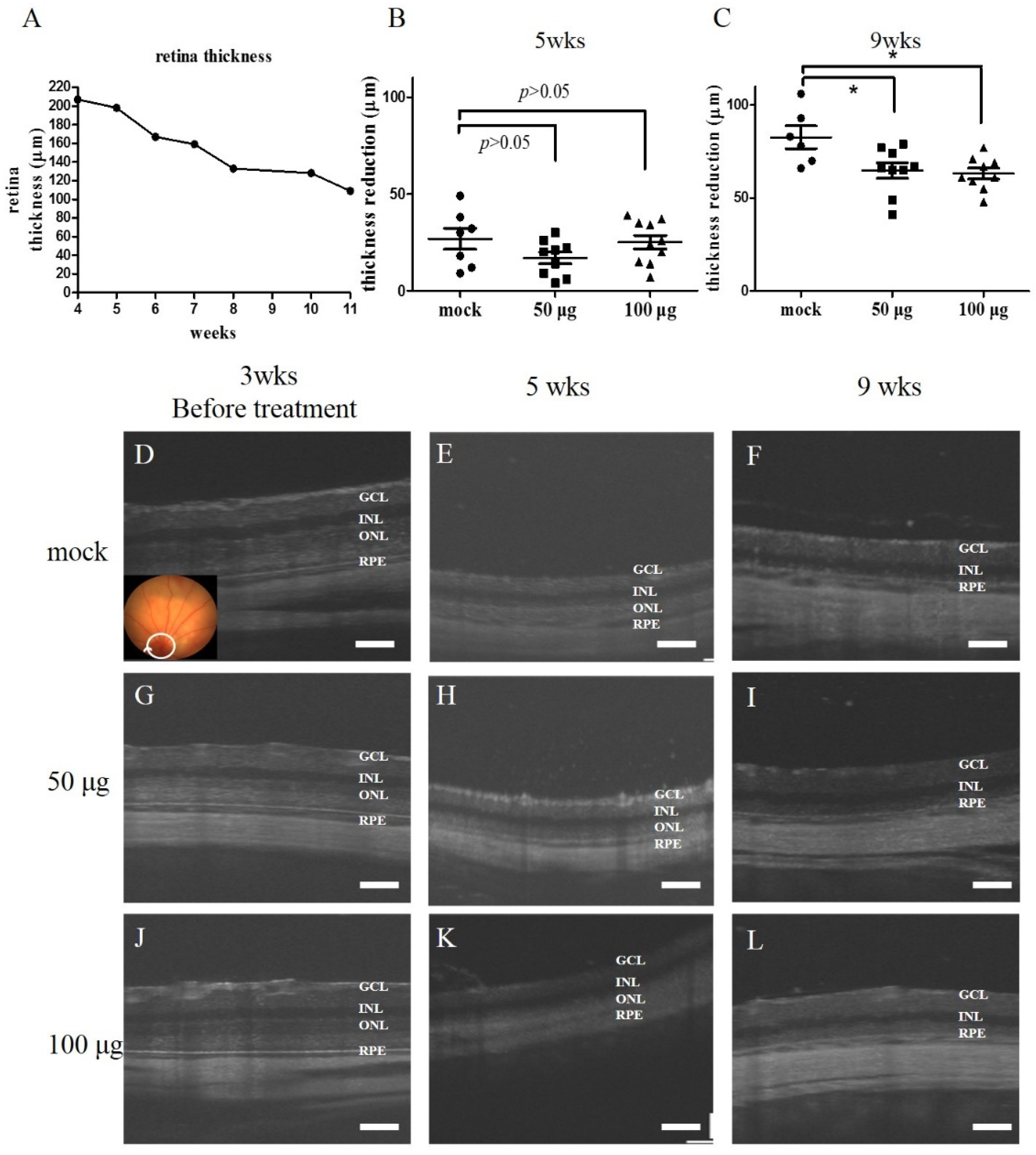 Biomedicines 10 02883 g004 Biomedicines 10 02883 g004
