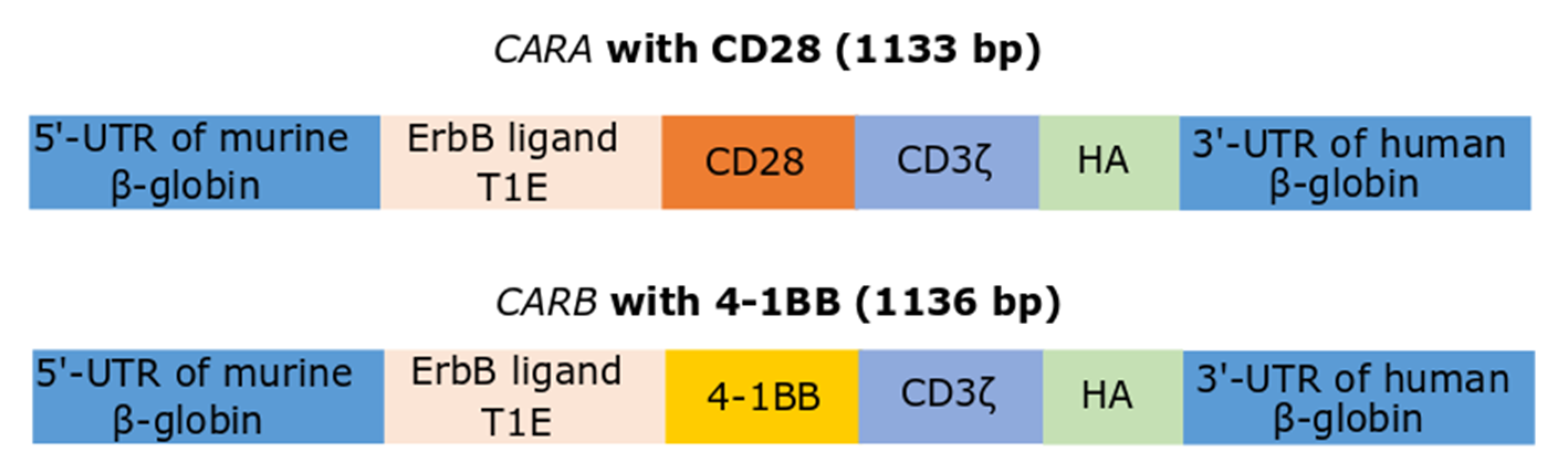 Biomedicines 10 02885 g001