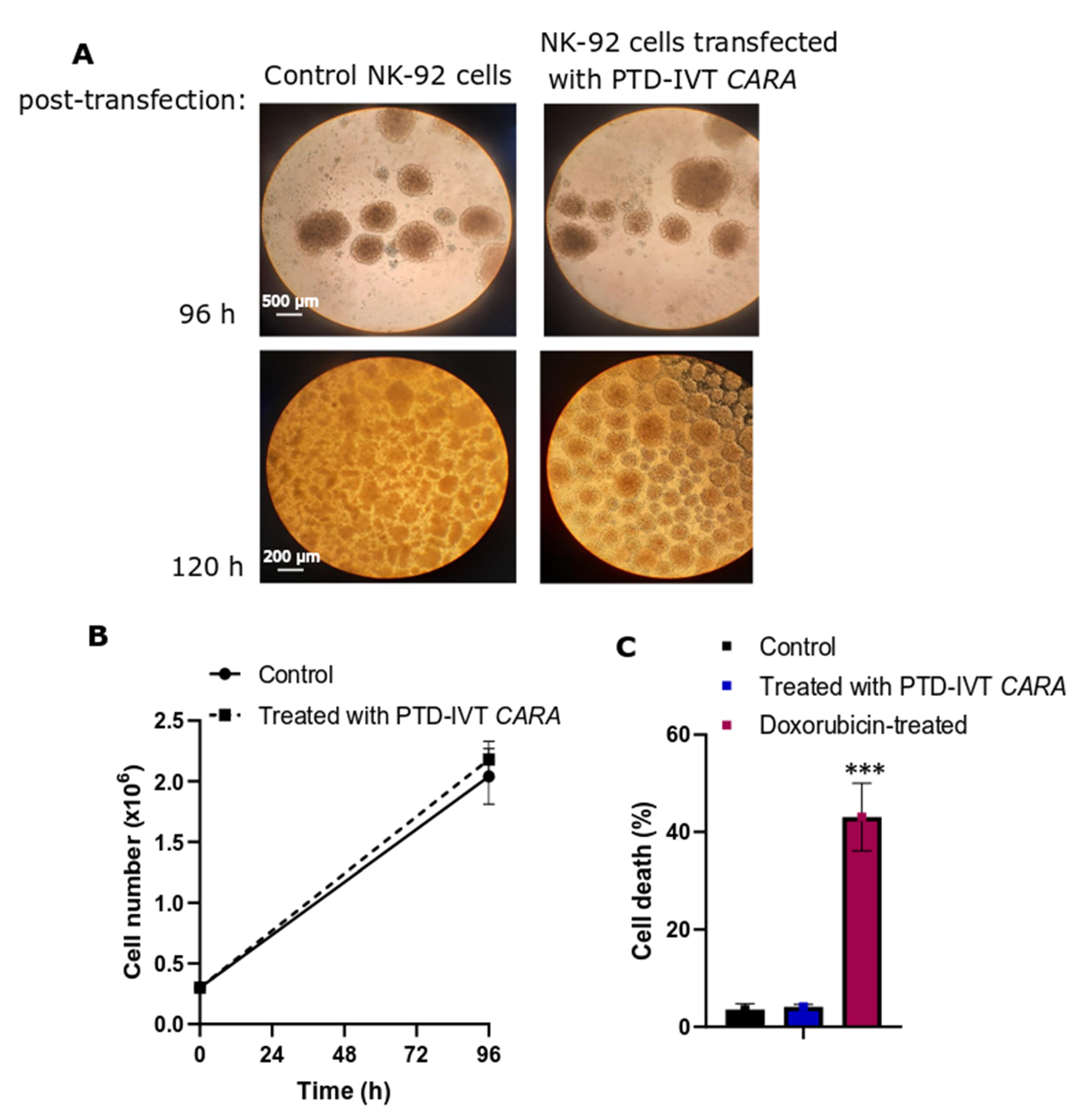 Biomedicines 10 02885 g006