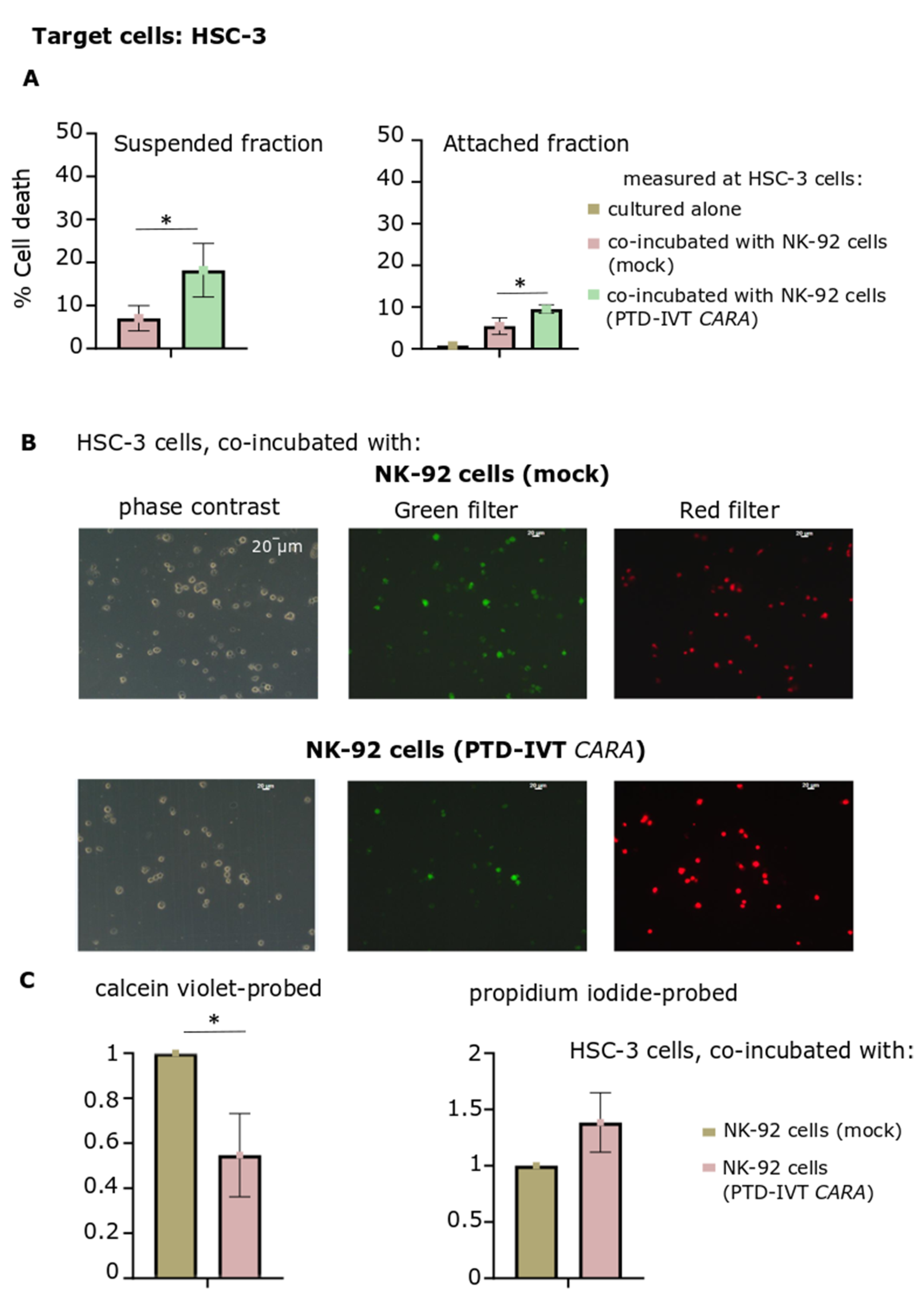 Biomedicines 10 02885 g008