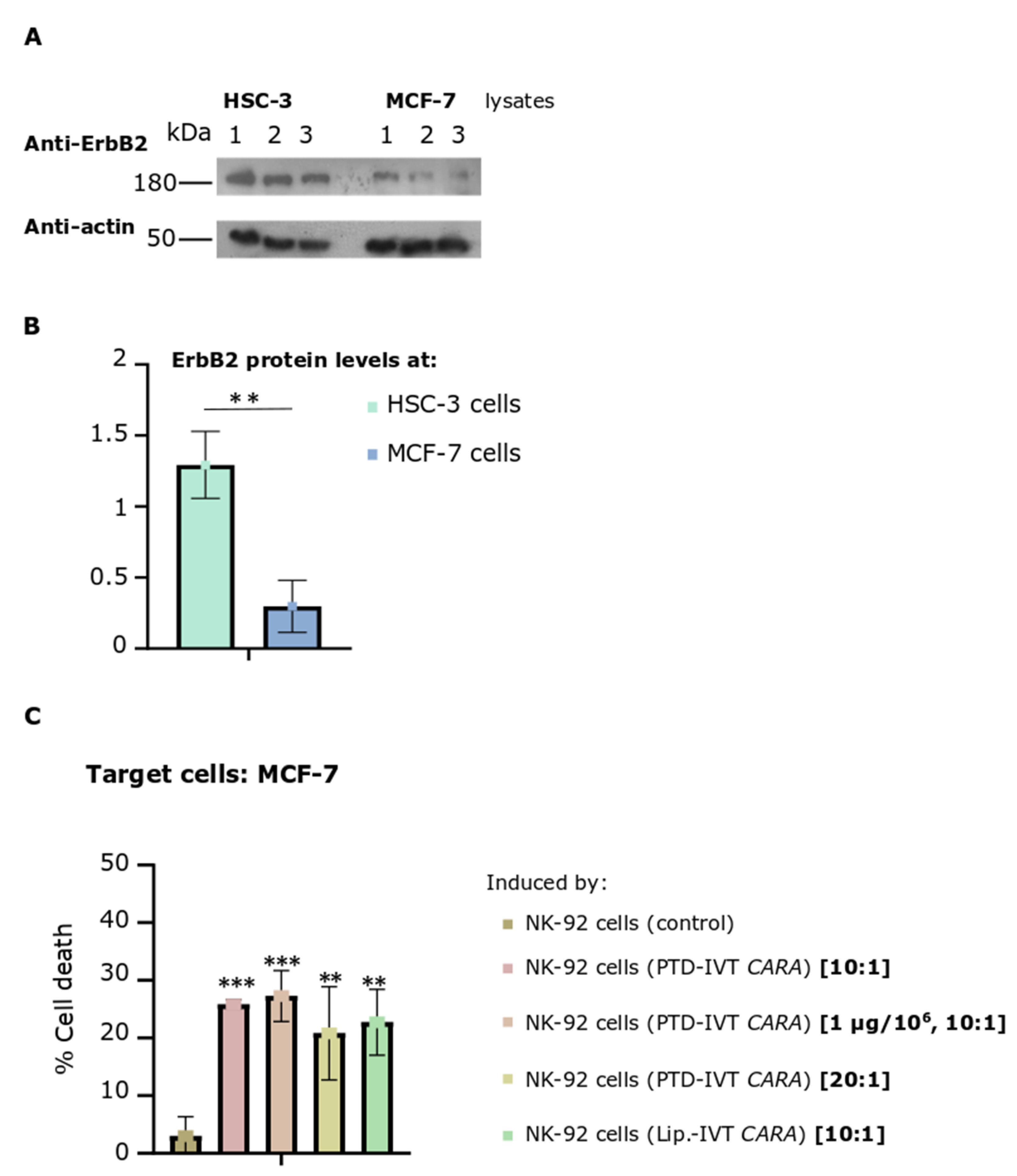 Biomedicines 10 02885 g009