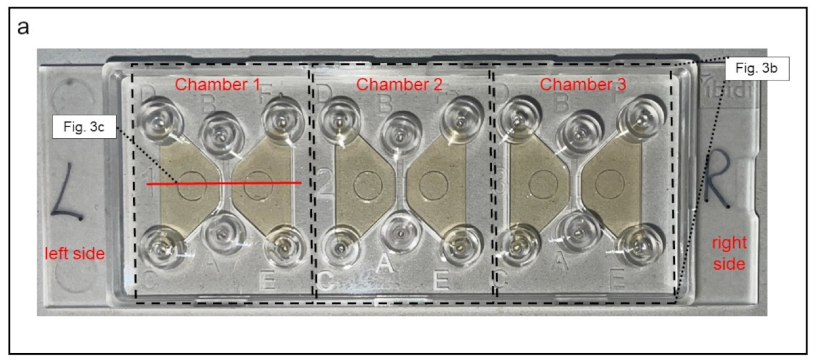 Biomedicines 10 02896 g003a Biomedicines 10 02896 g003a