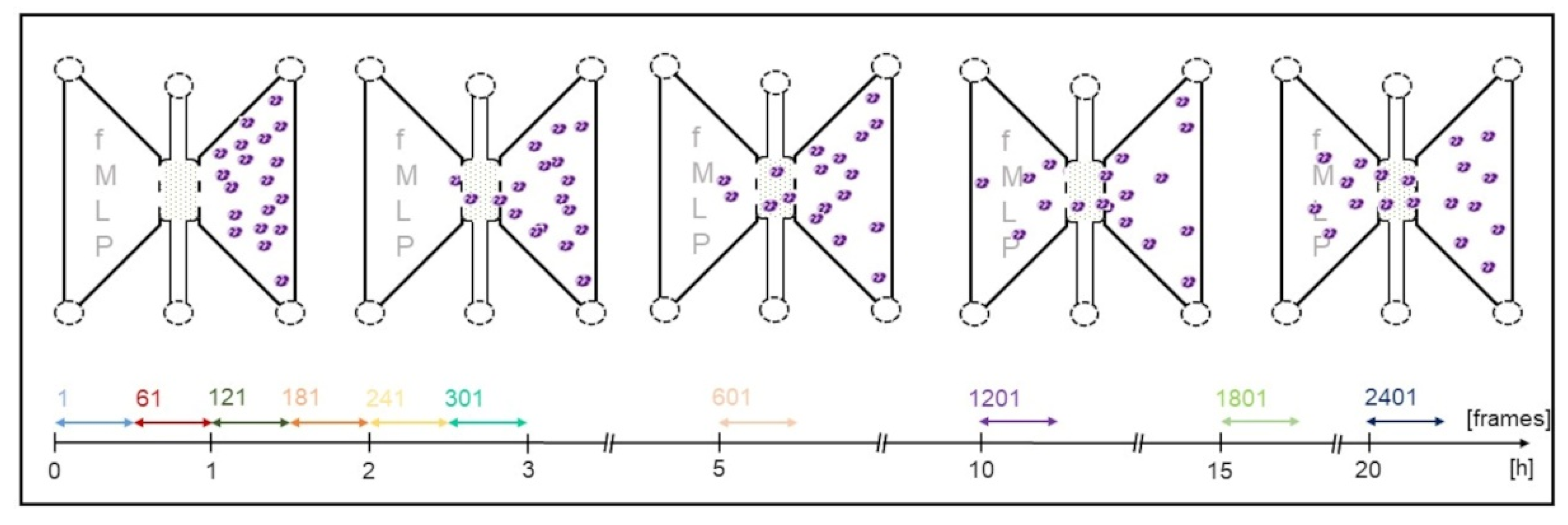 Biomedicines 10 02896 g004 Biomedicines 10 02896 g004